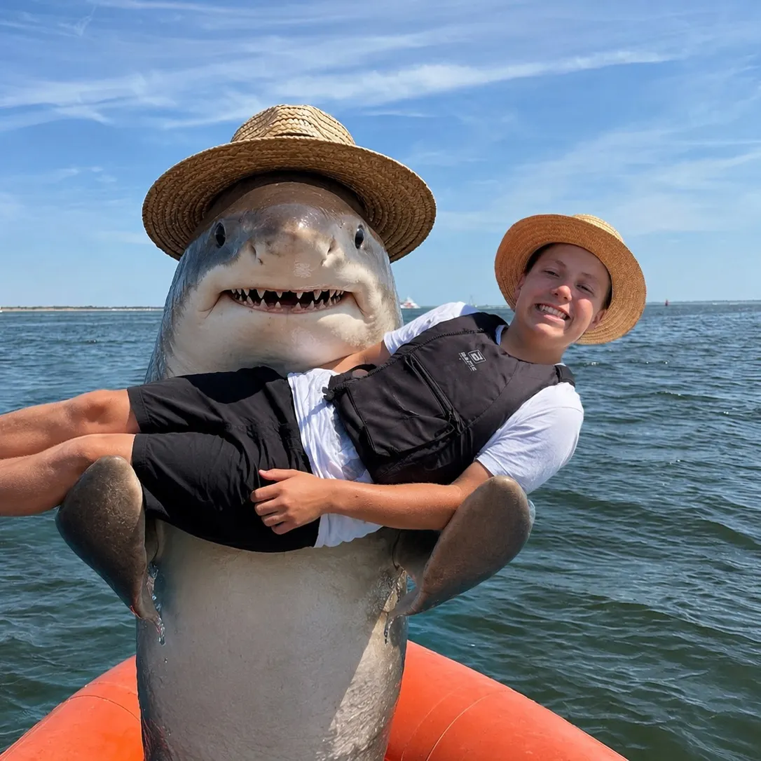 The most recent Starry smooth-hound catches on Fishbrain