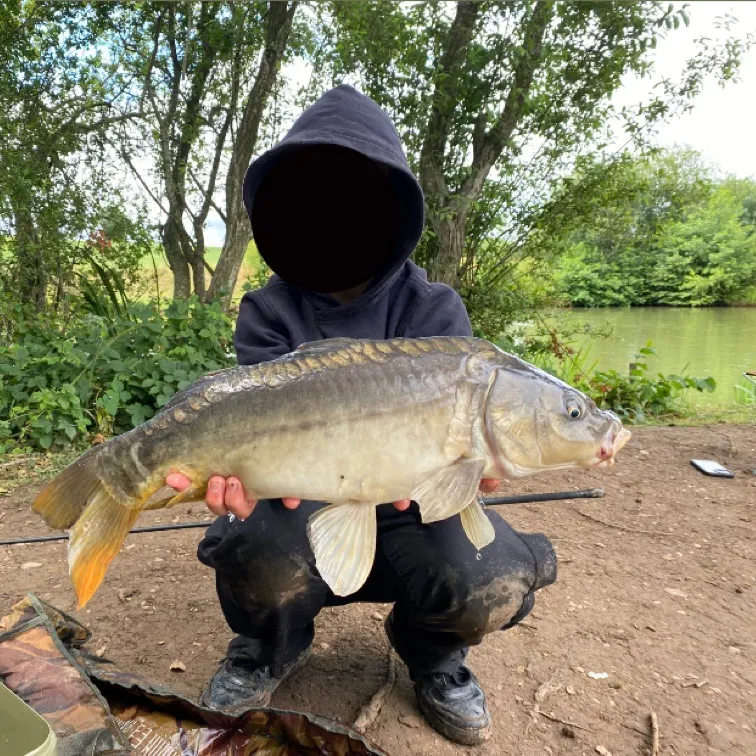 The most recent Leather carp catches on Fishbrain