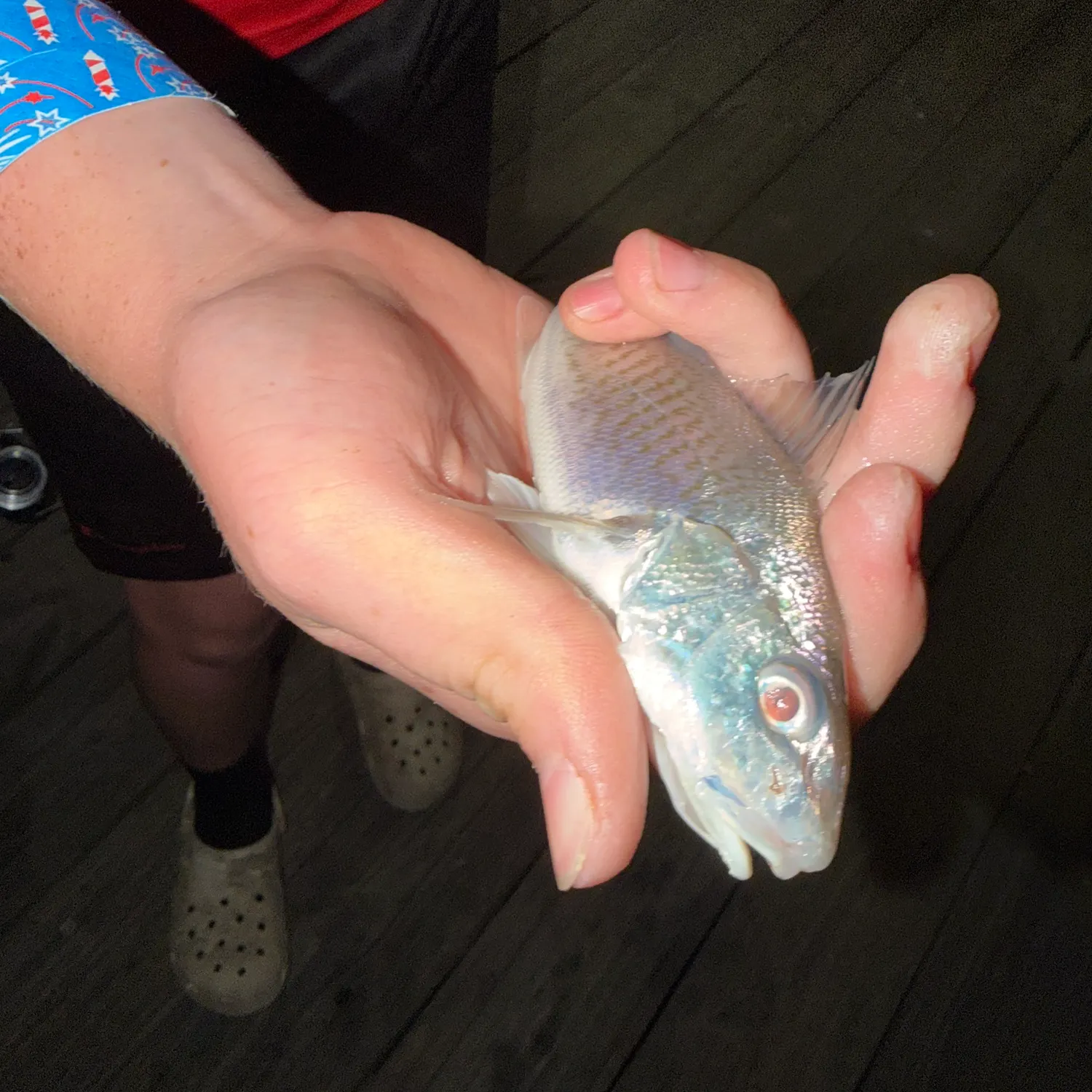 Atlantic croaker caught on Fishbrain