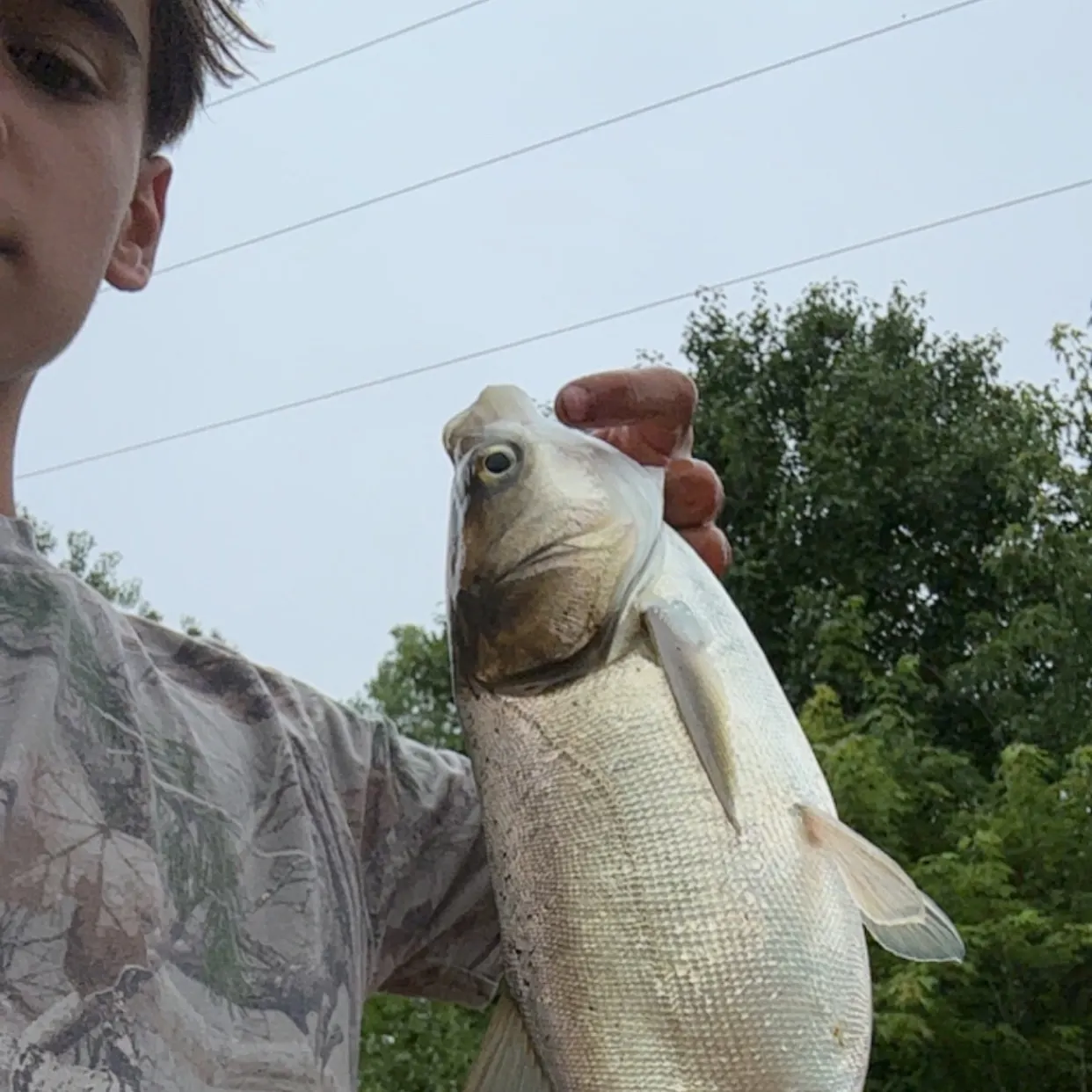 The most recent Silver carp catches on Fishbrain
