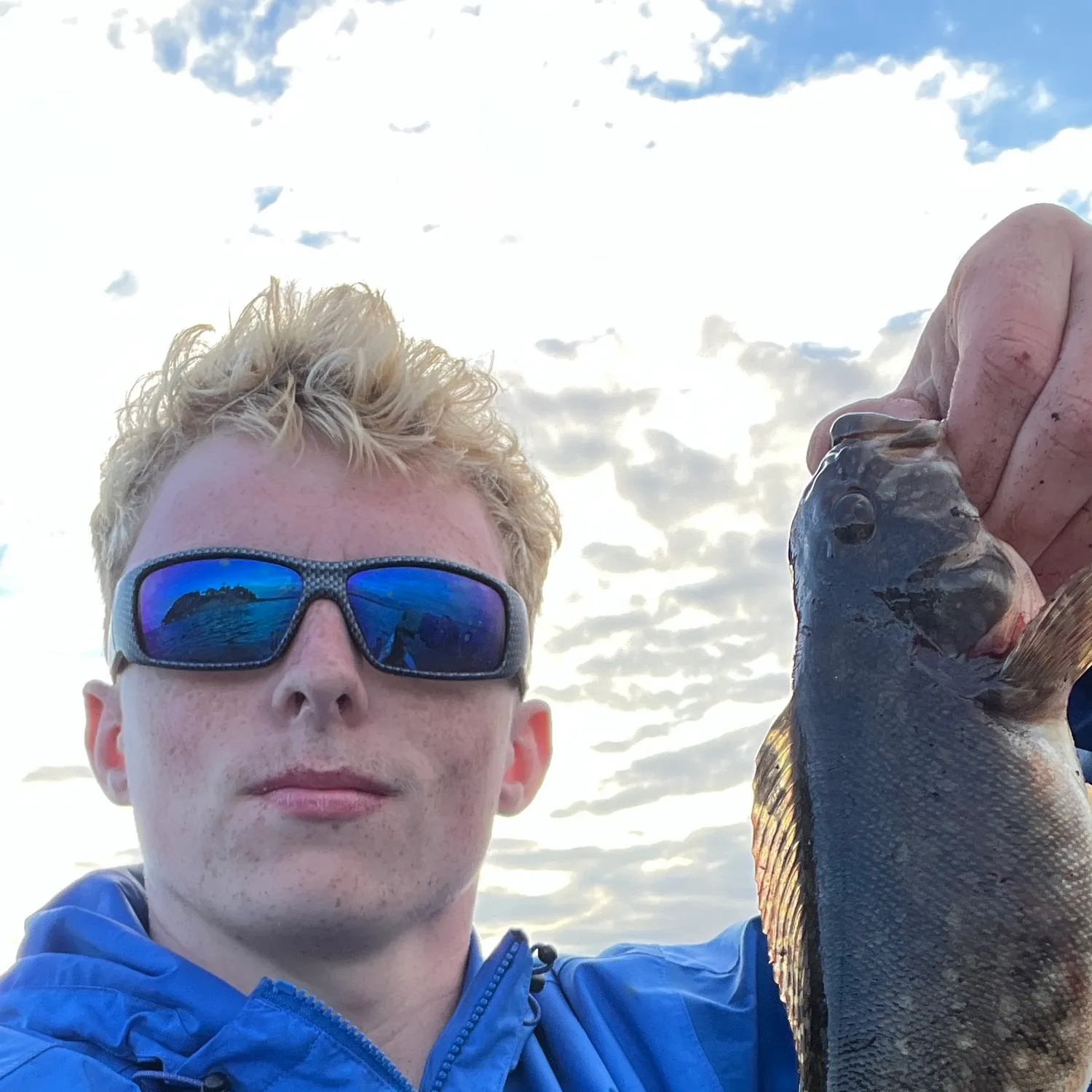 Kelp greenling caught on Fishbrain