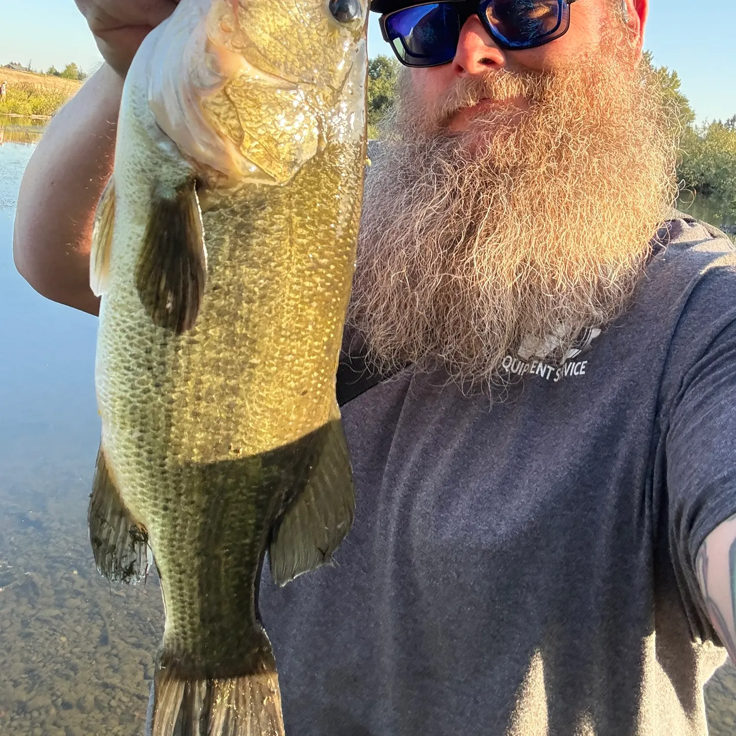 Largemouth bass caught on Fishbrain
