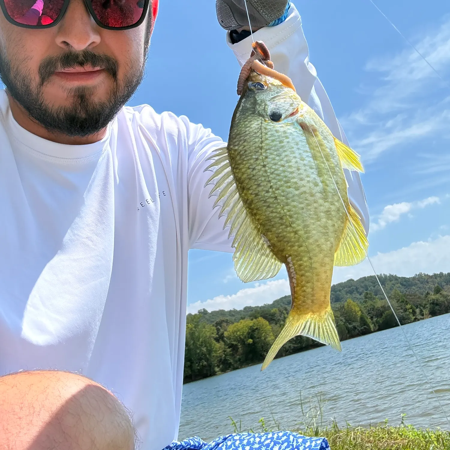Redear sunfish caught on Fishbrain