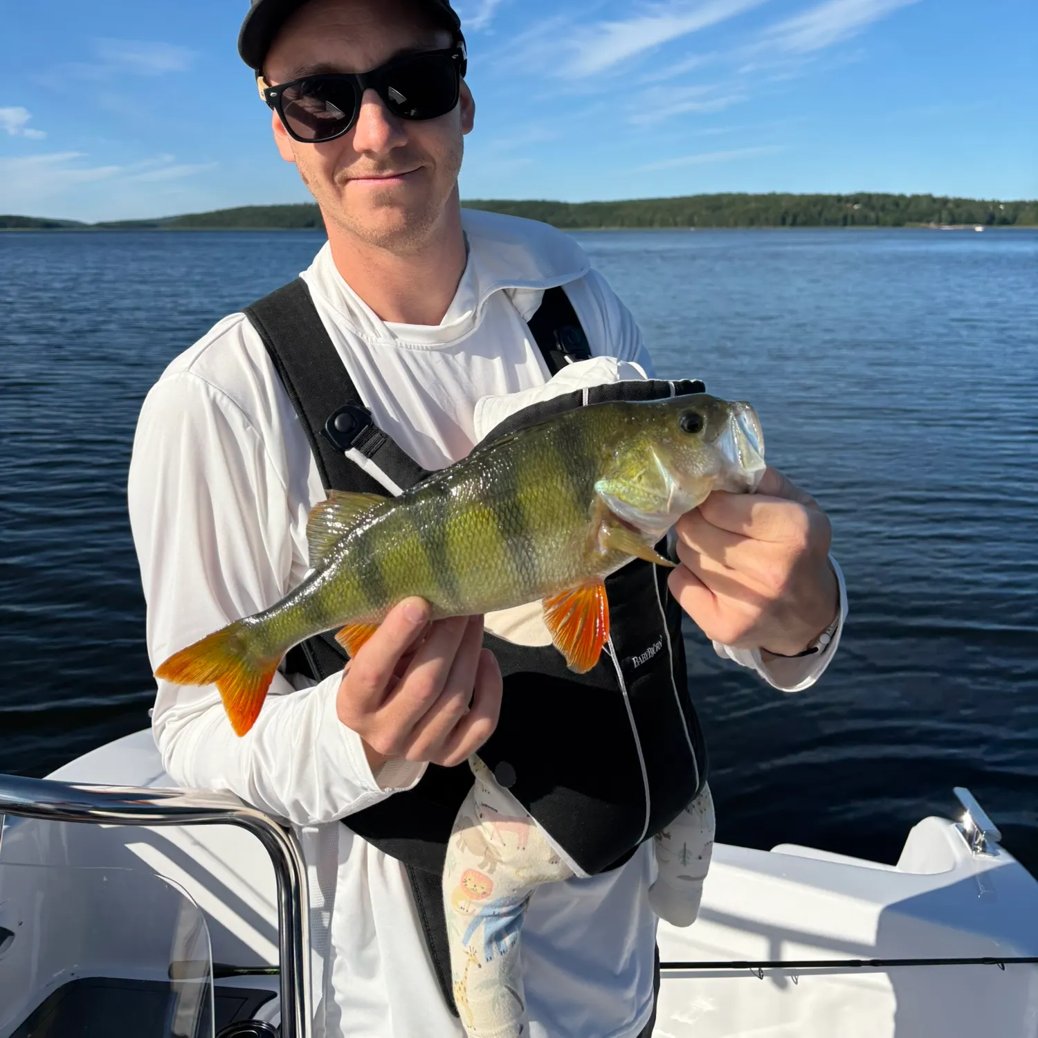 European perch caught on Fishbrain