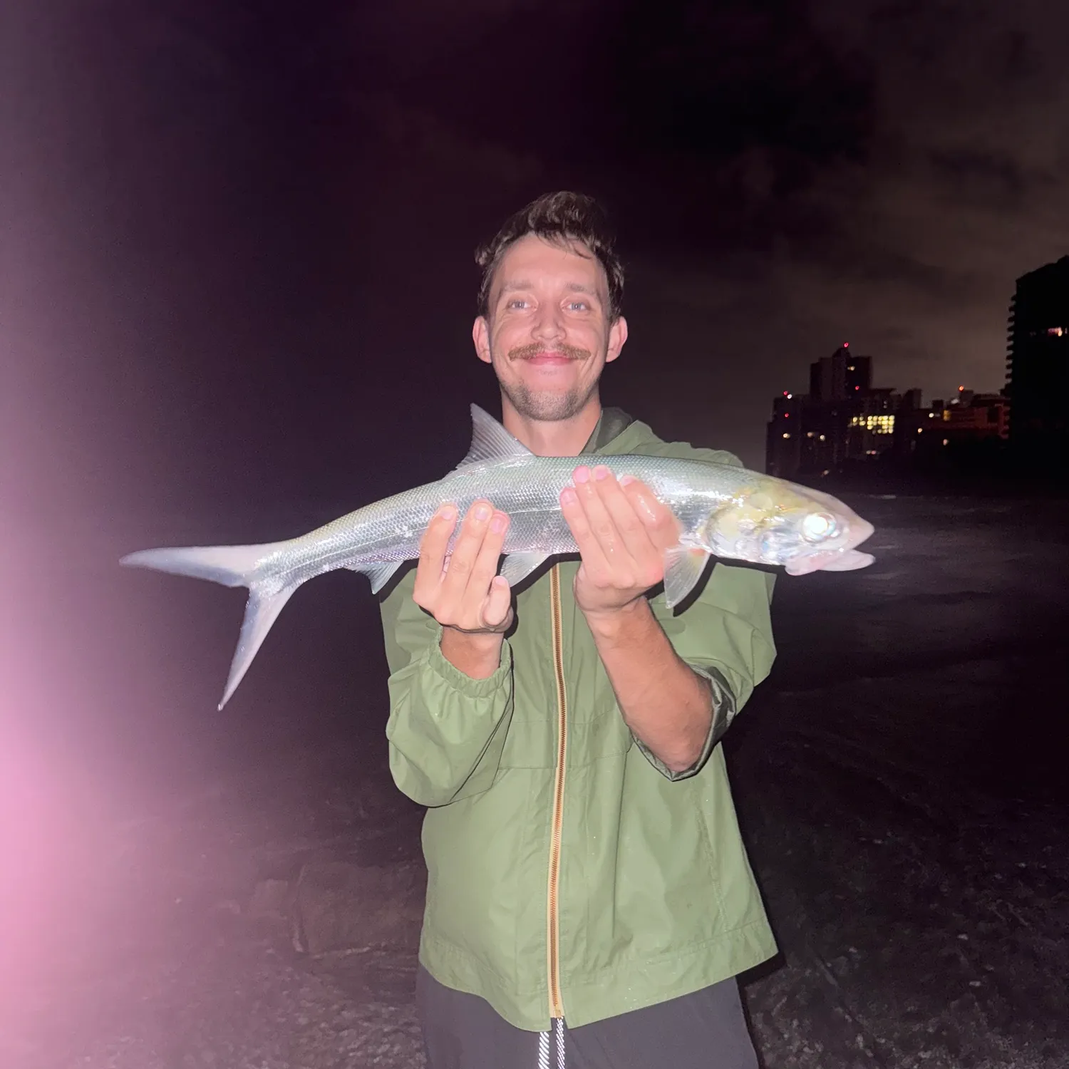 The most recent Ladyfish catches on Fishbrain