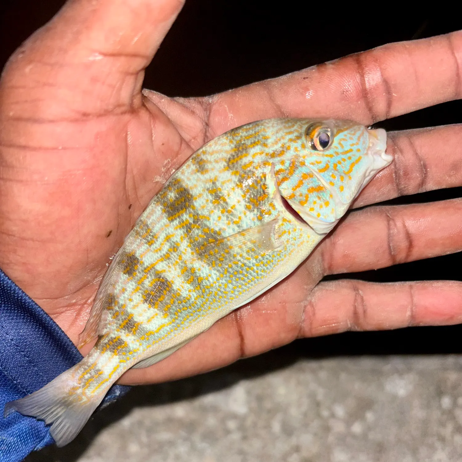 catch