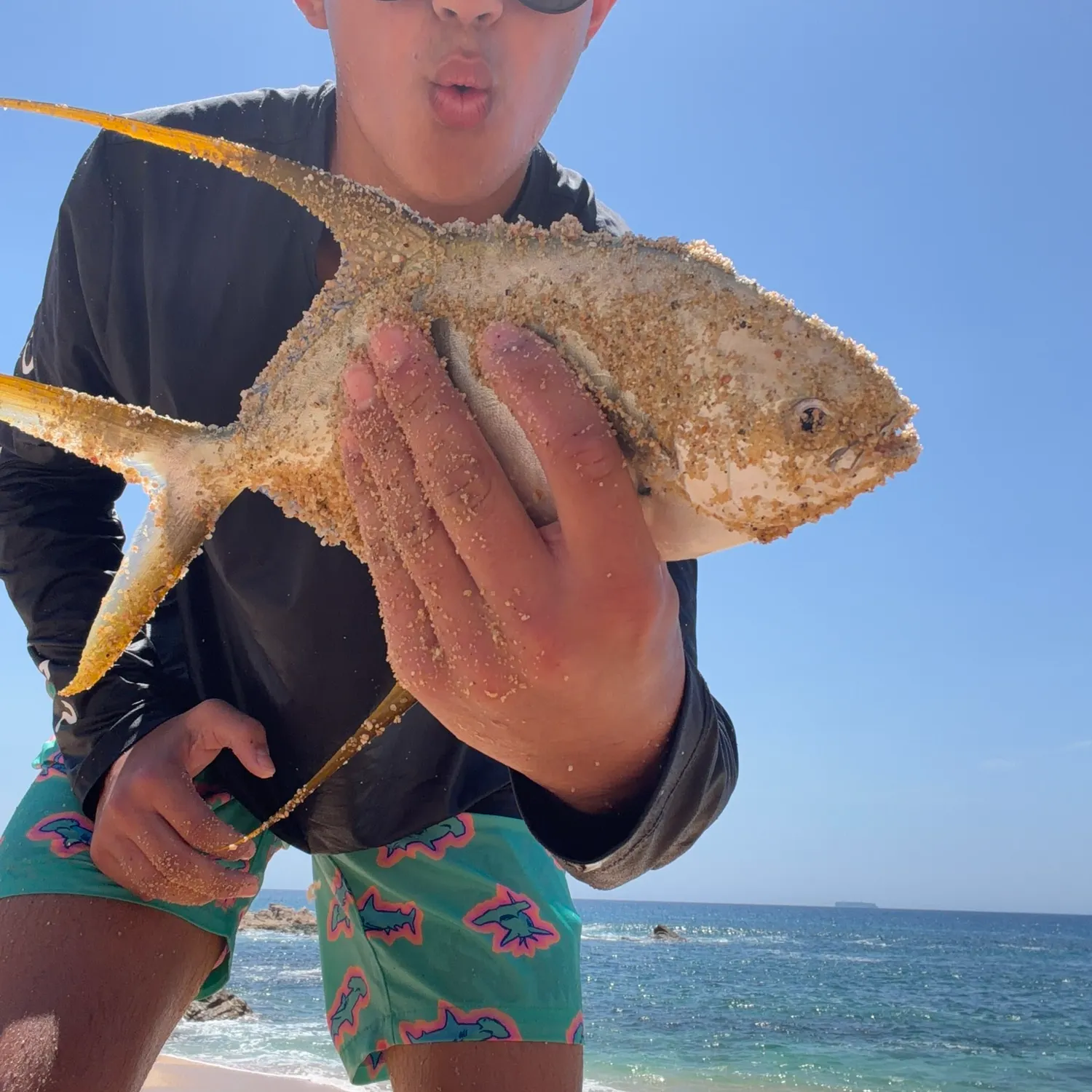 Snubnose pompano caught on Fishbrain