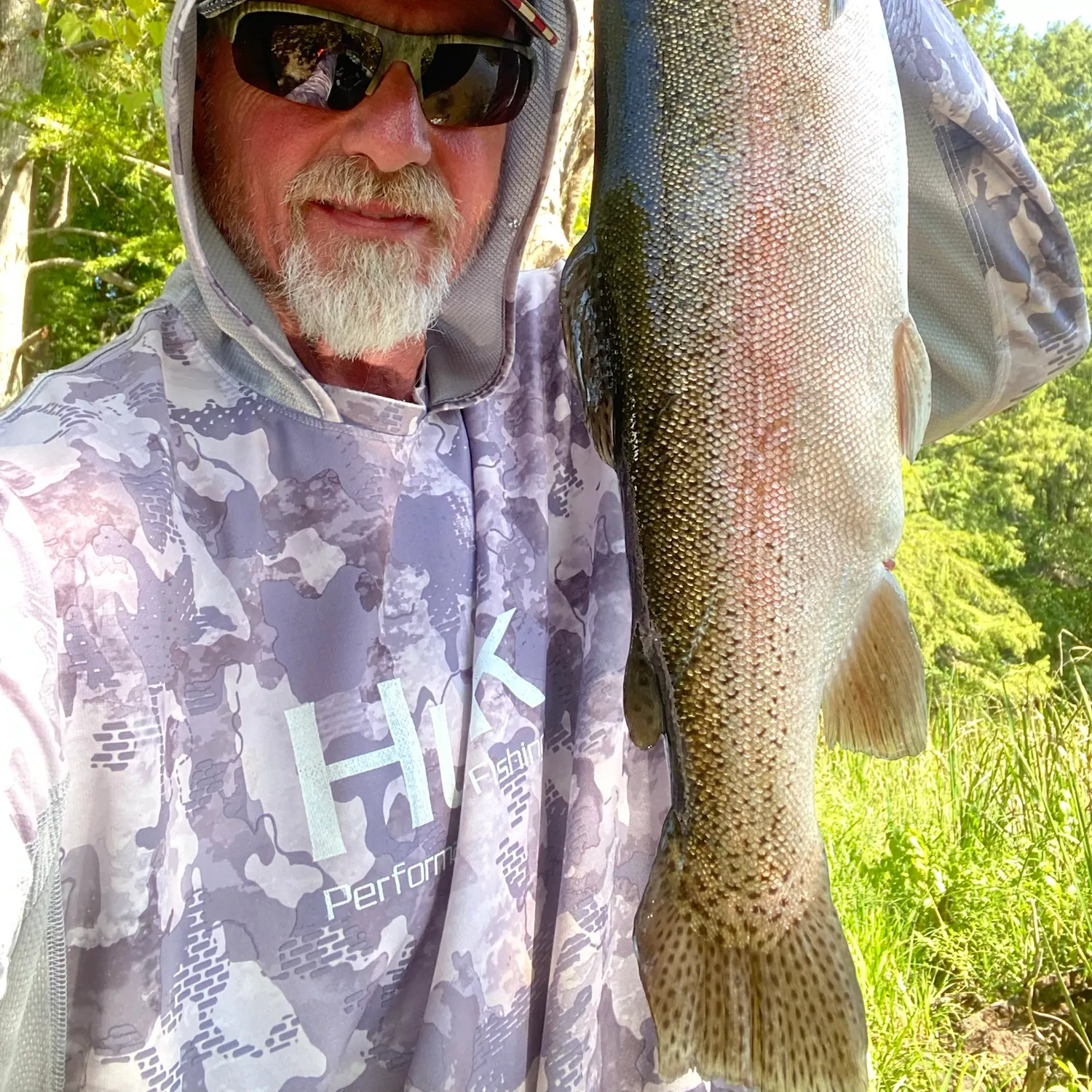 Rainbow trout caught on Fishbrain