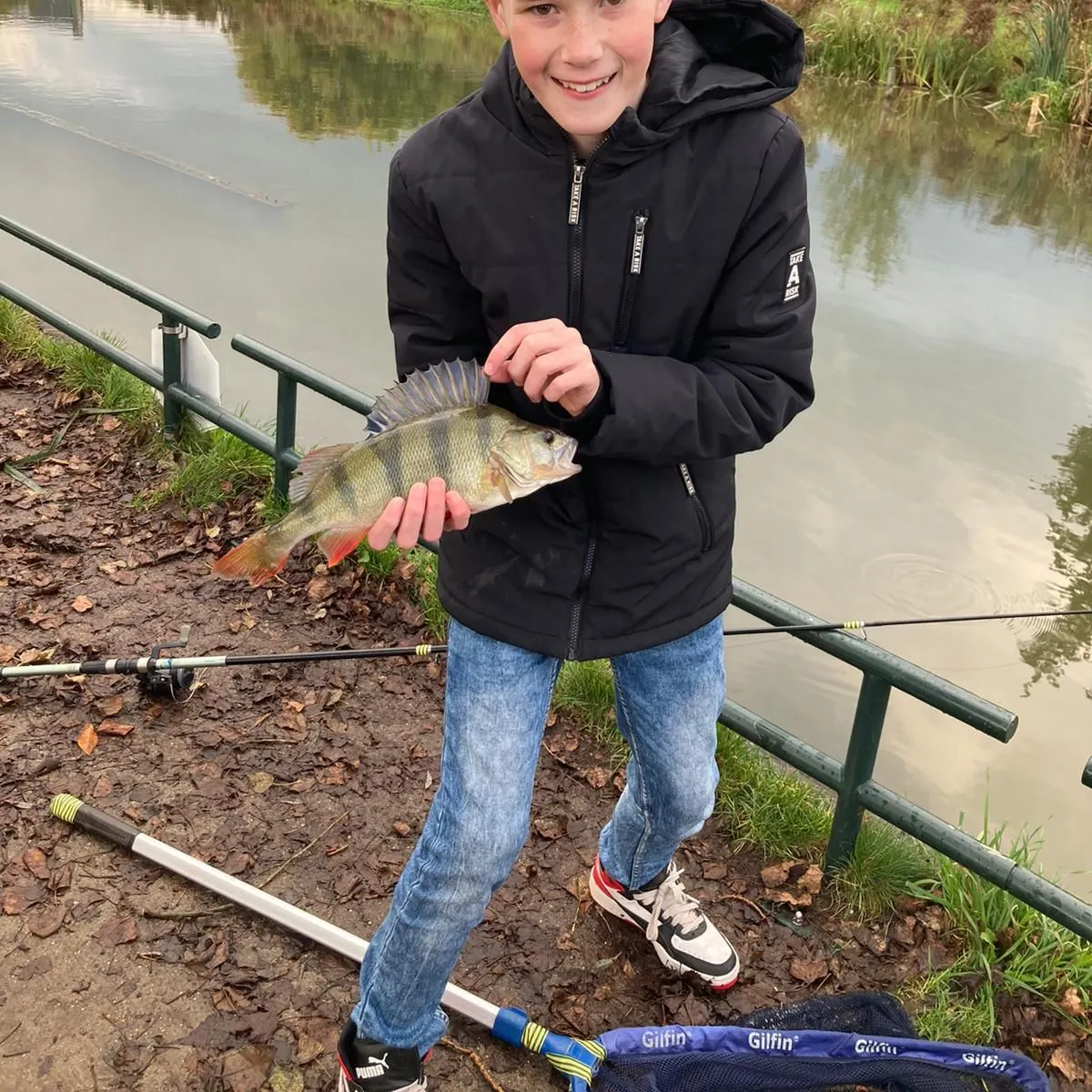 European perch caught on Fishbrain