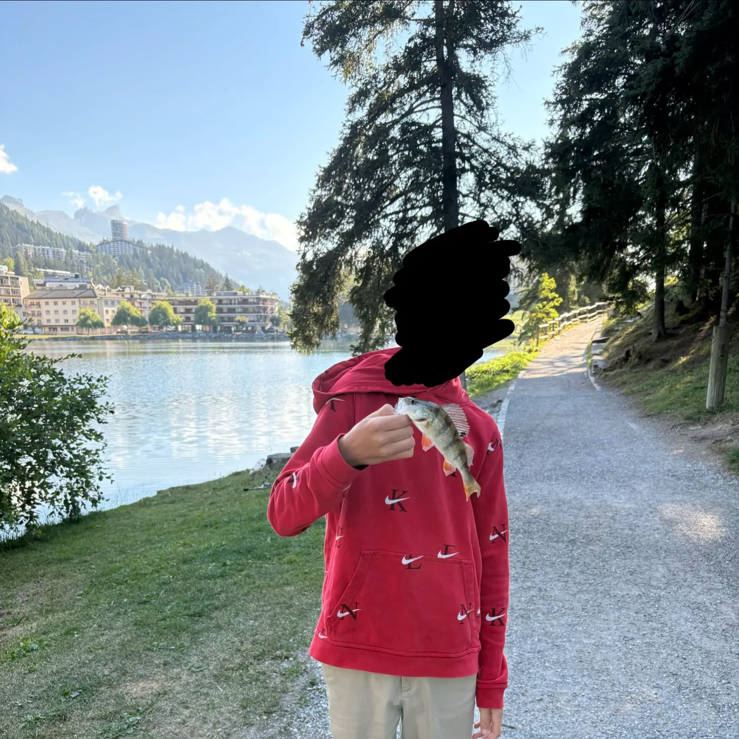 European perch caught on Fishbrain