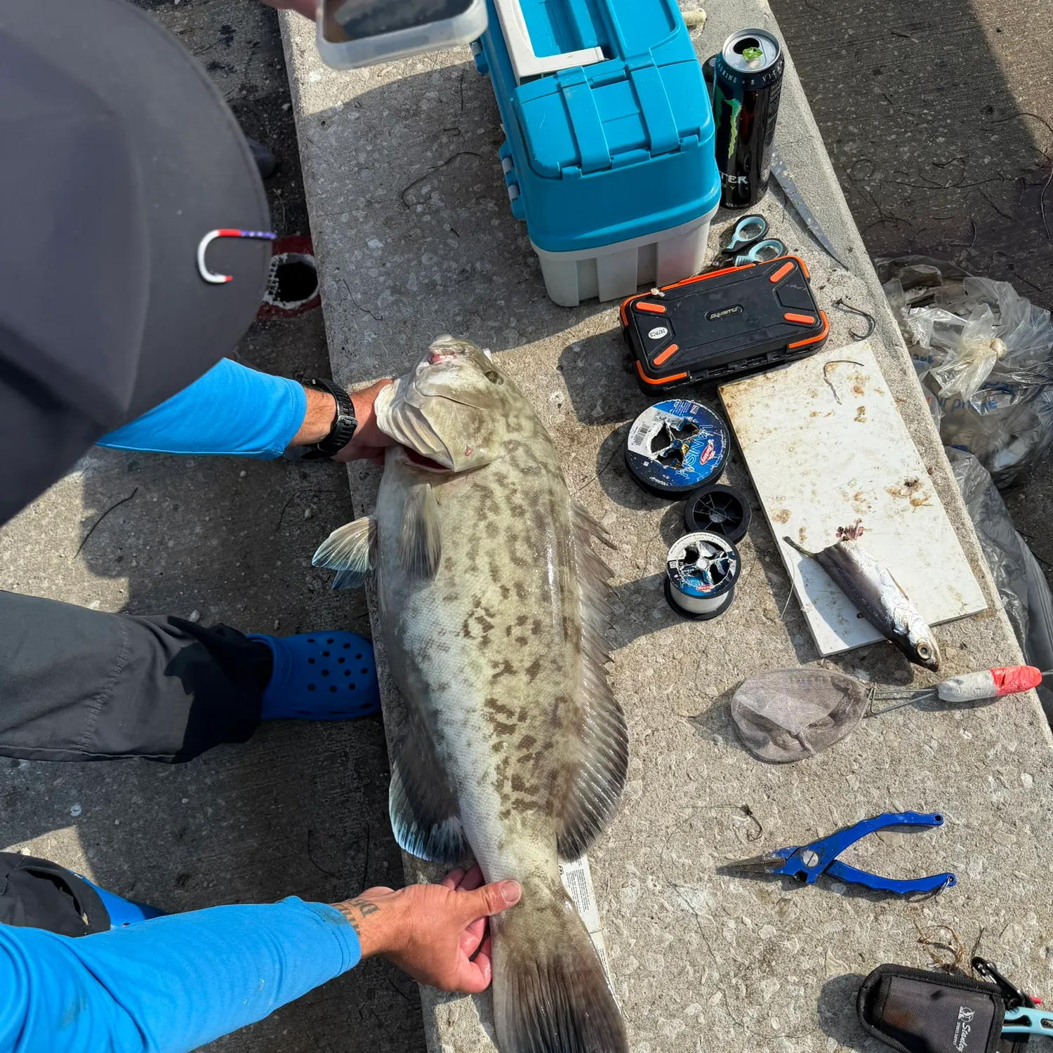 recently logged catches