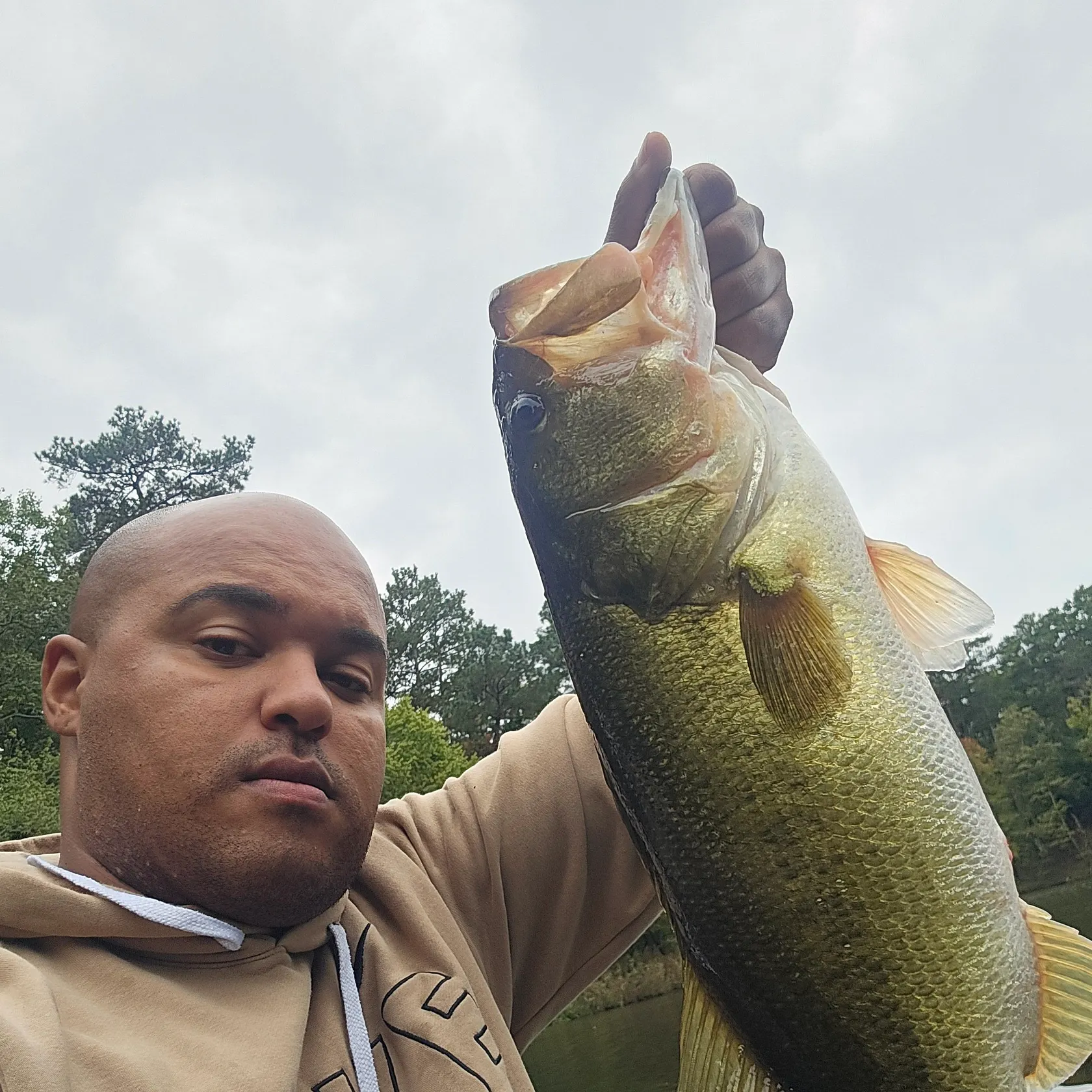 Largemouth bass caught on Fishbrain