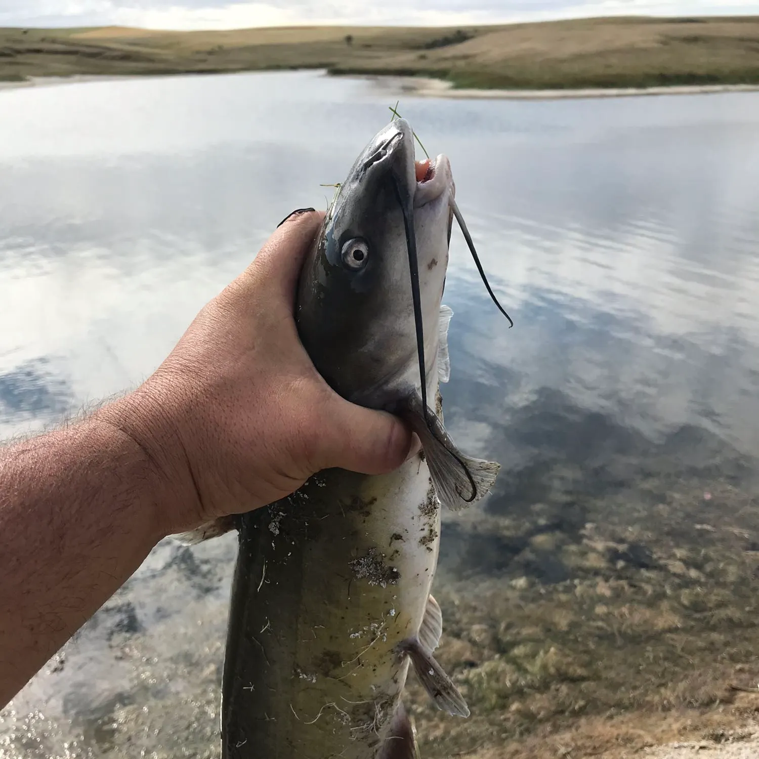 ᐅ Krieg's Pond fishing reports🎣• Glen Ullin, ND (United States) fishing