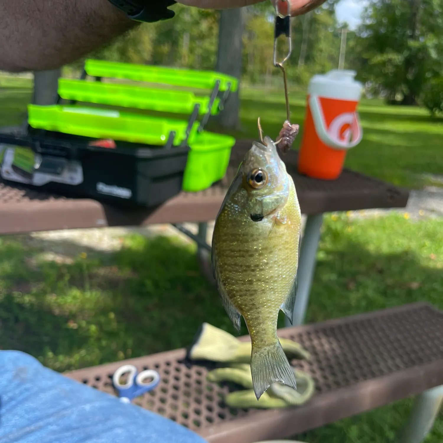 catch