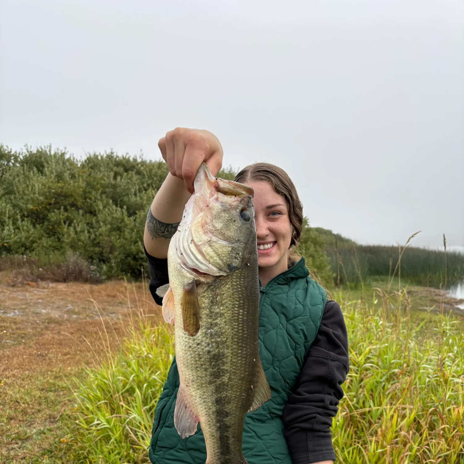 Largemouth bass caught on Fishbrain