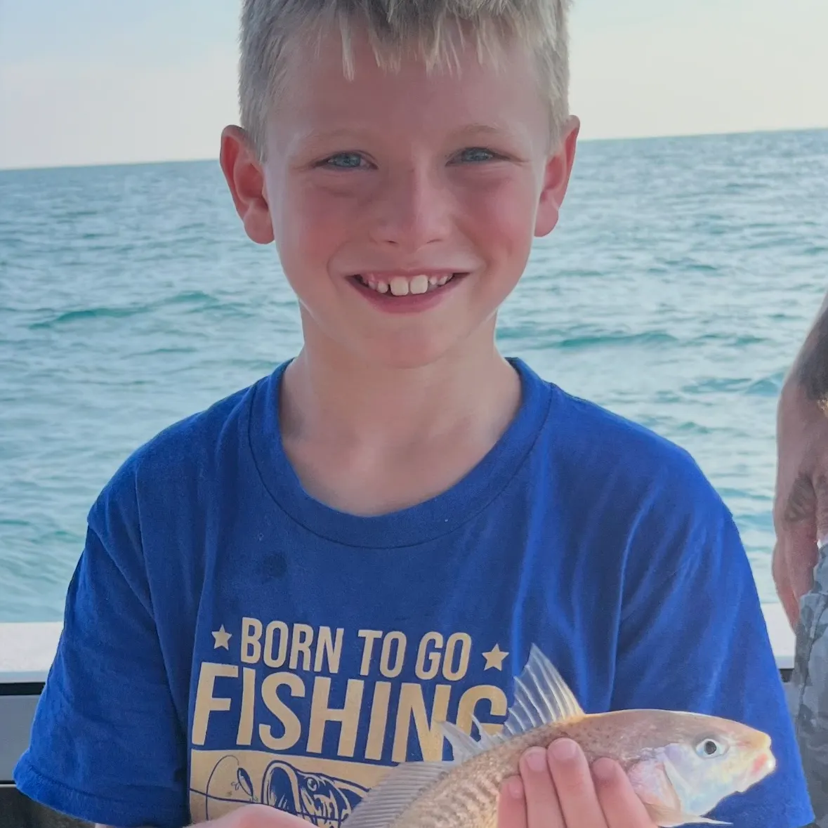Black drum caught on Fishbrain