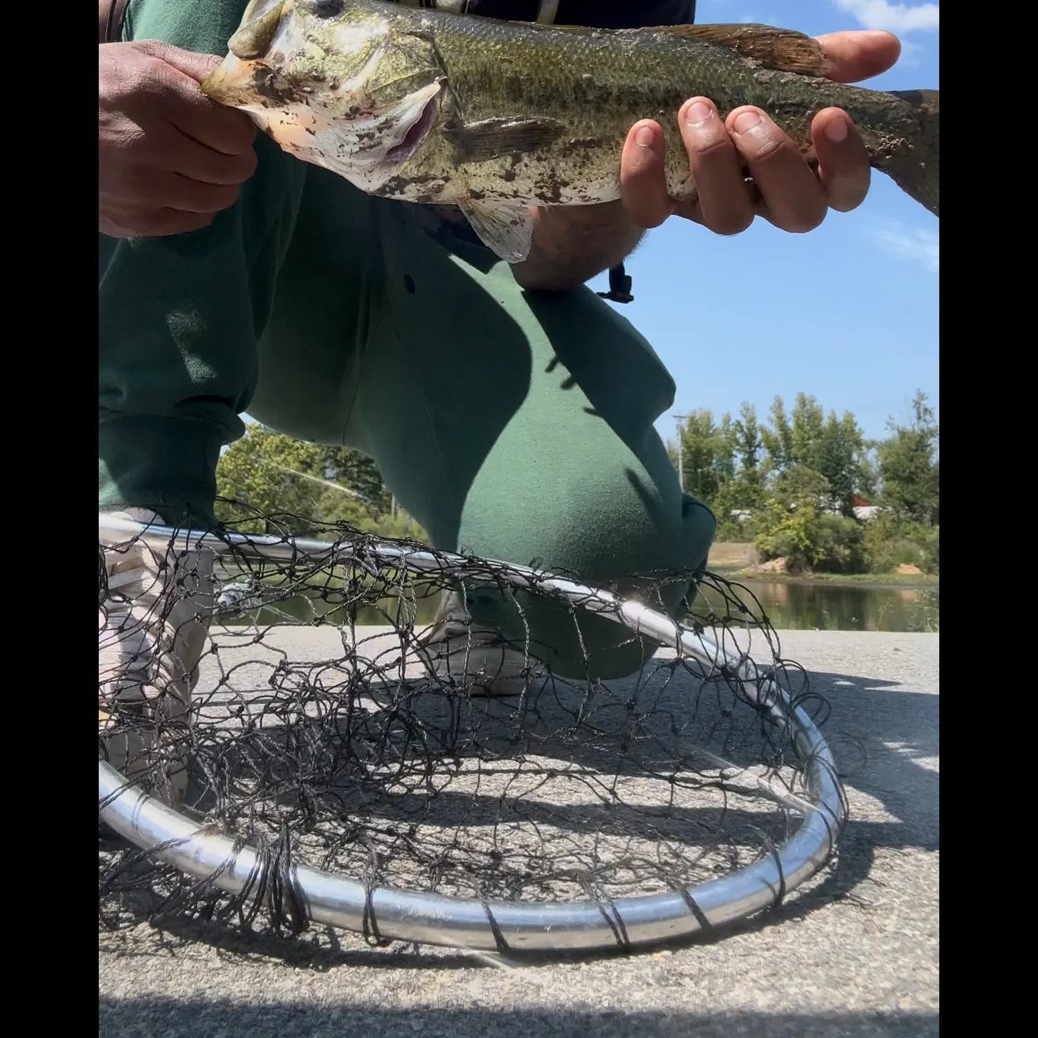 catch