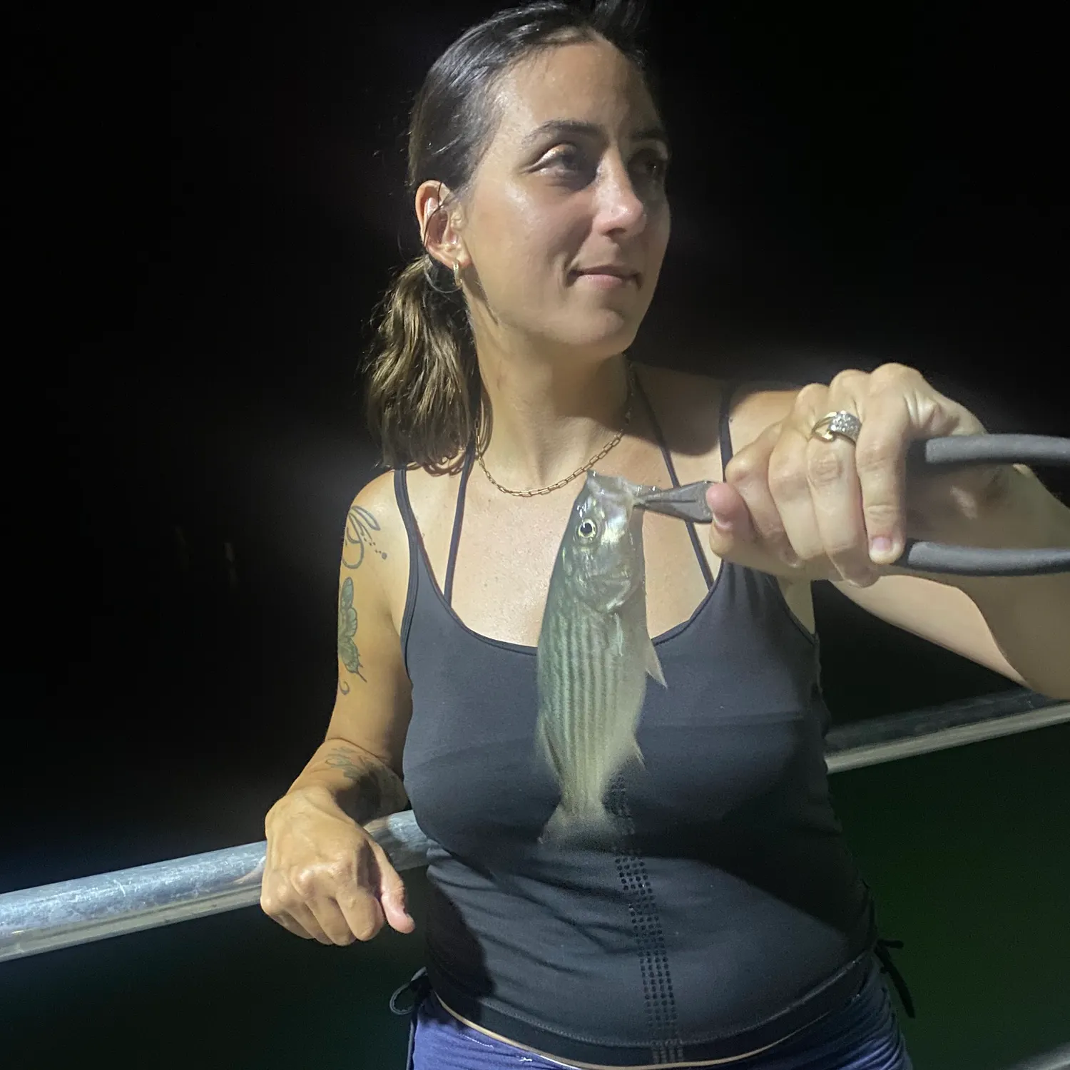 Striped bass caught on Fishbrain