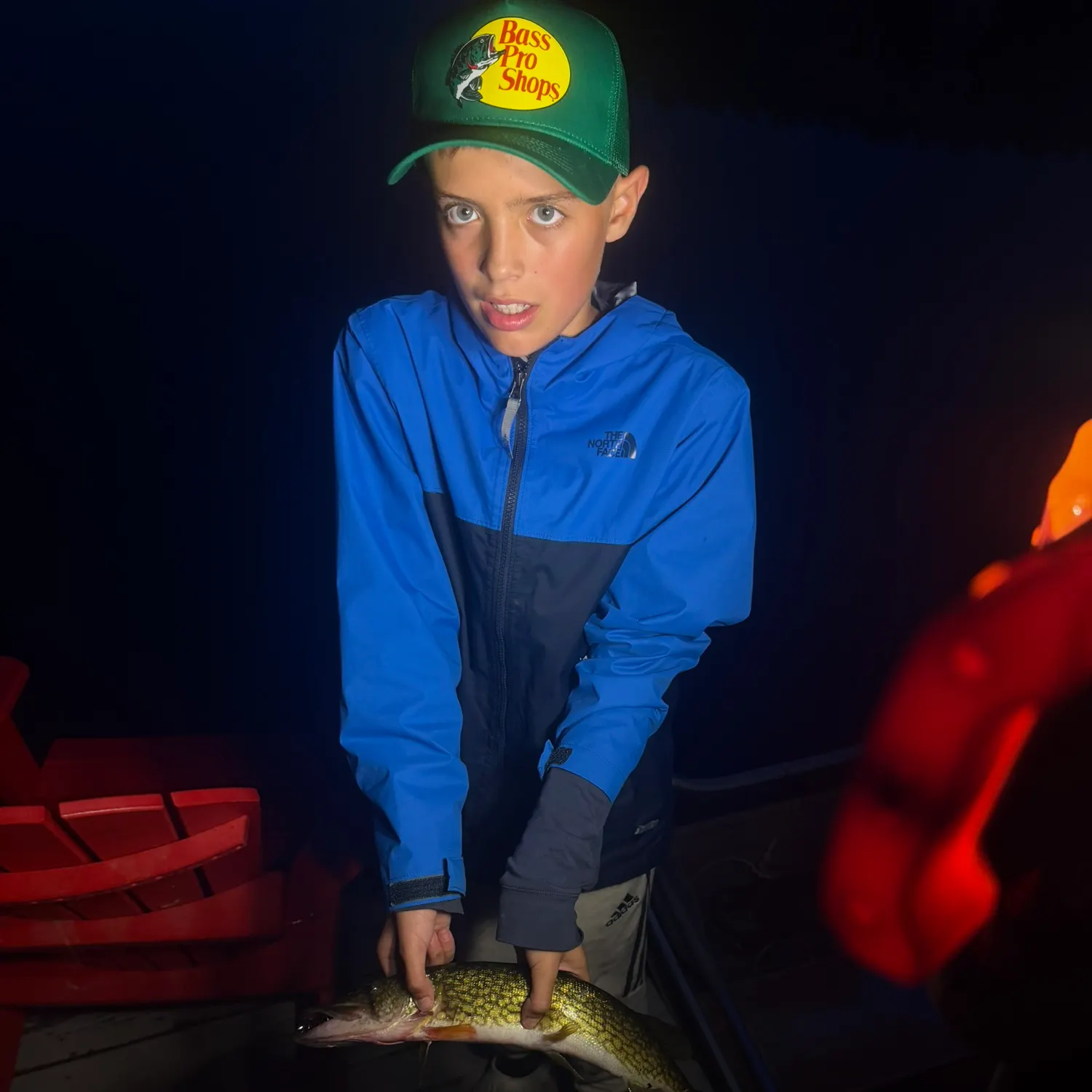 Chain pickerel caught on Fishbrain