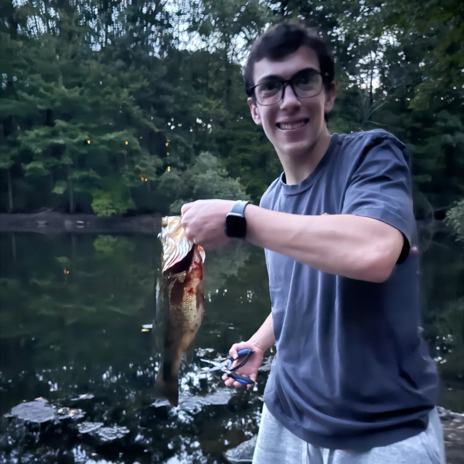 Largemouth bass caught on Fishbrain