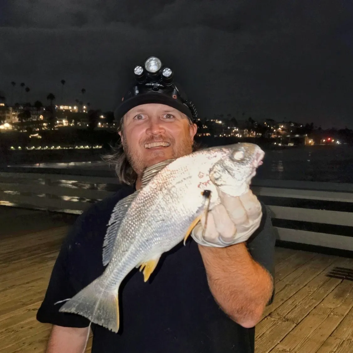 Spotfin croaker caught on Fishbrain