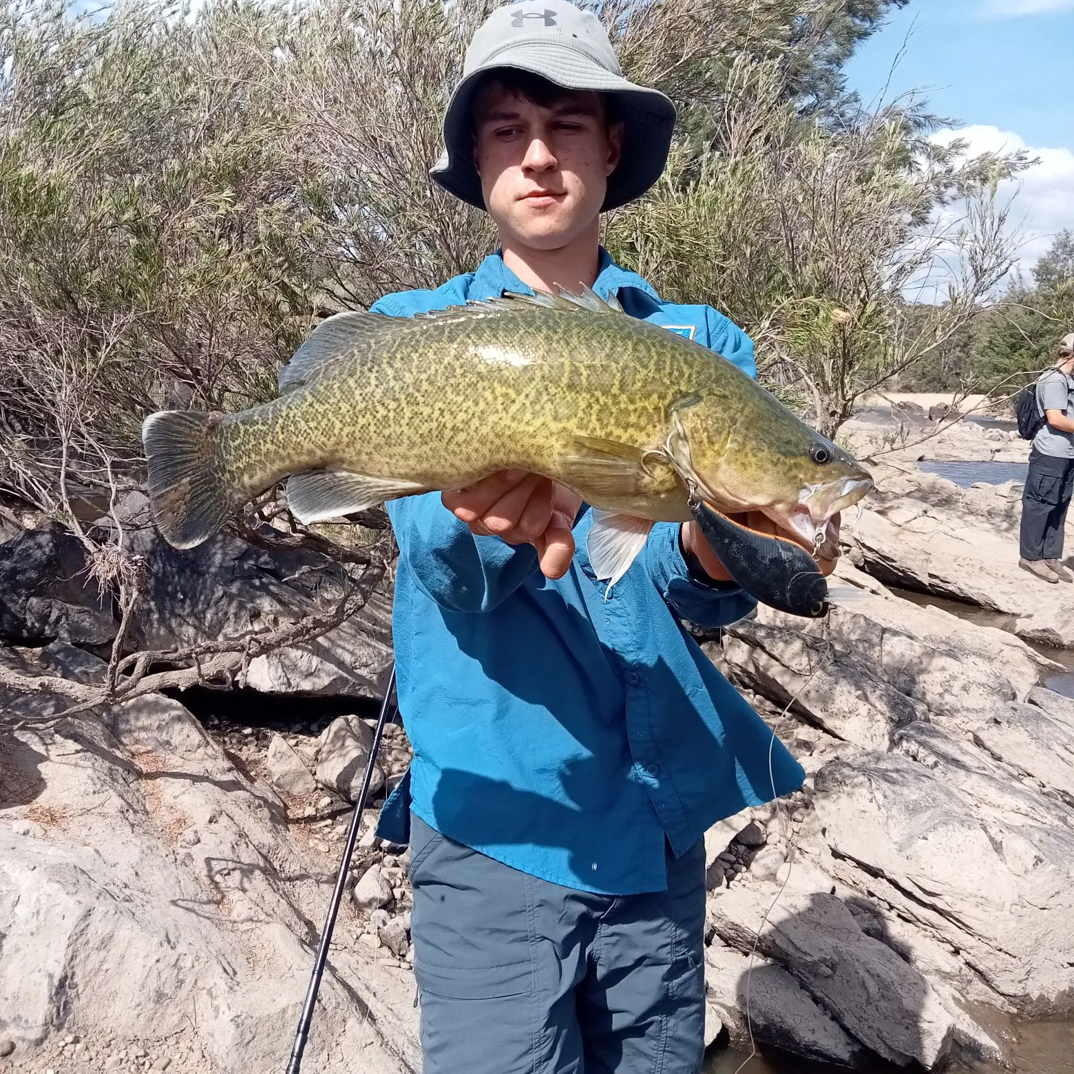 The most recent Murray cod catches on Fishbrain