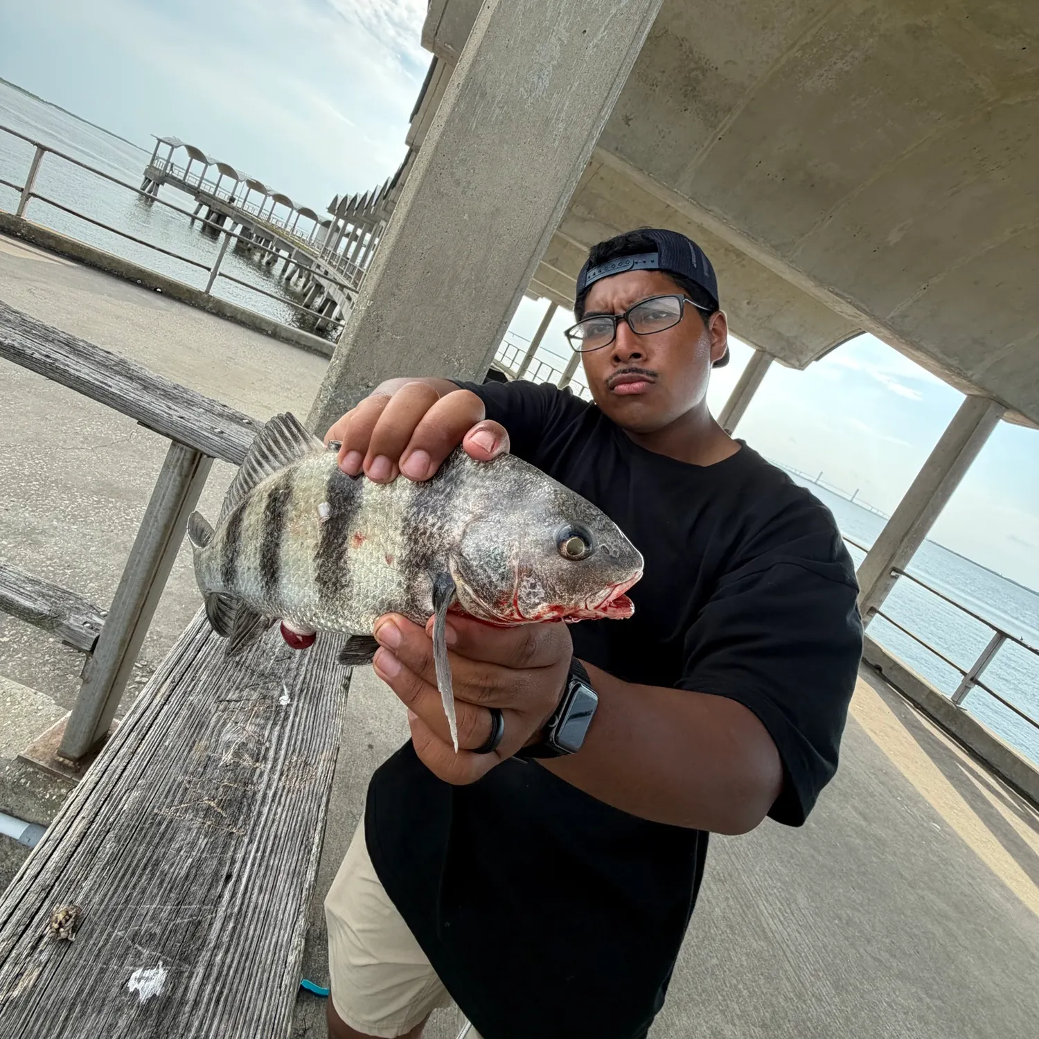 Black drum caught on Fishbrain