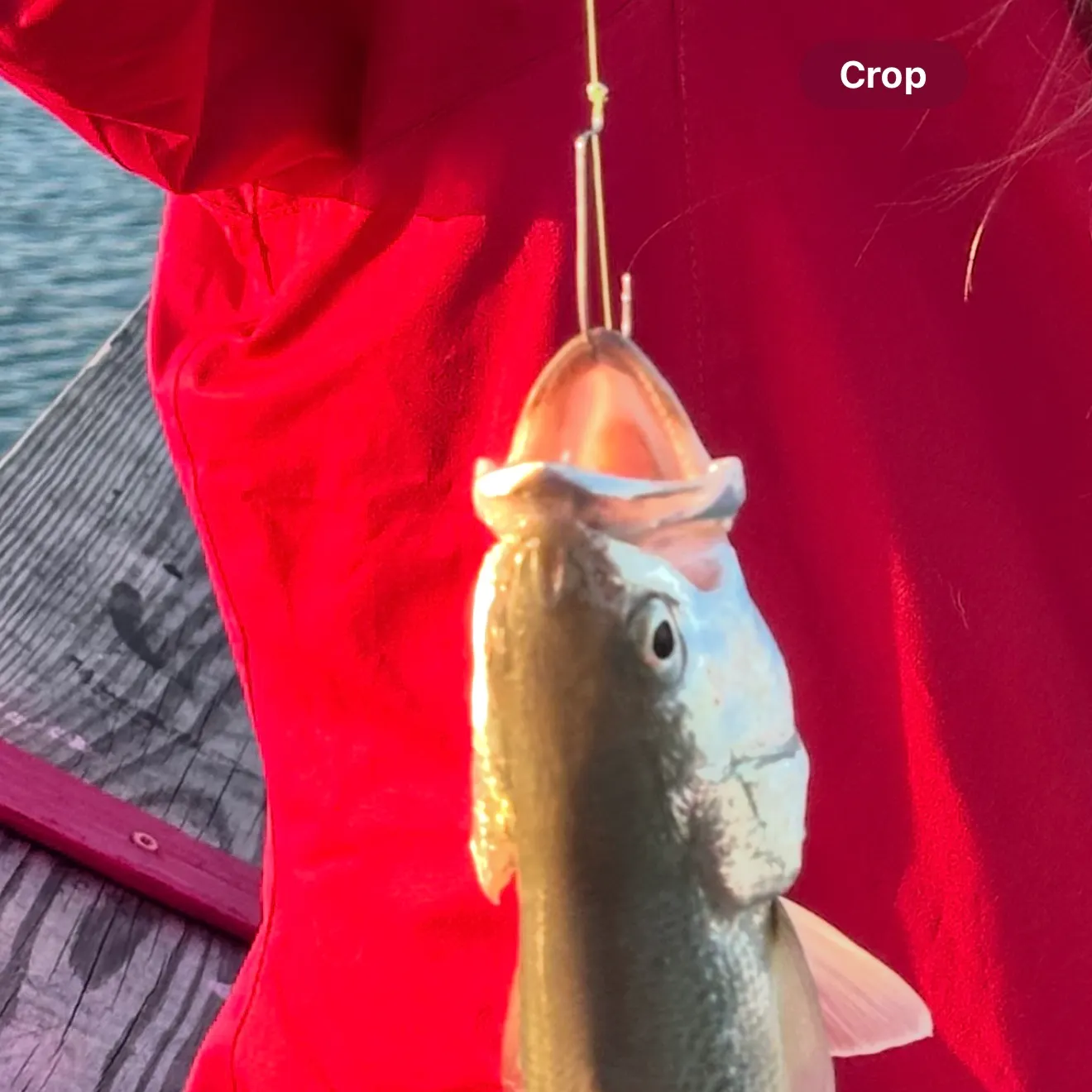 The most recent Spotted seatrout catches on Fishbrain