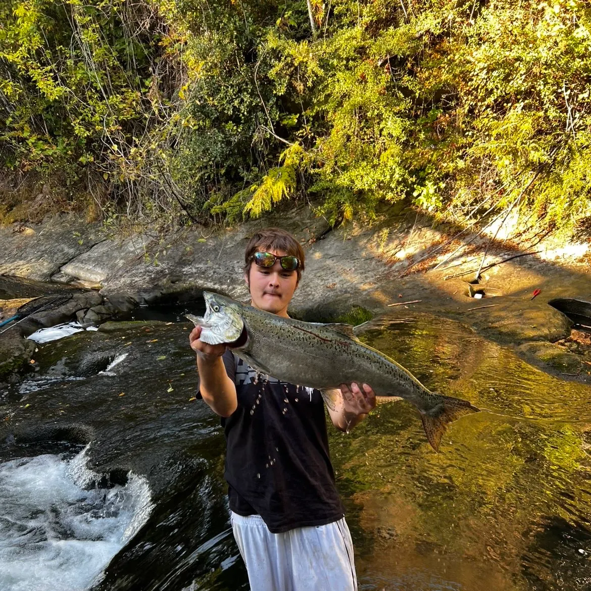 Chinook salmon caught on Fishbrain