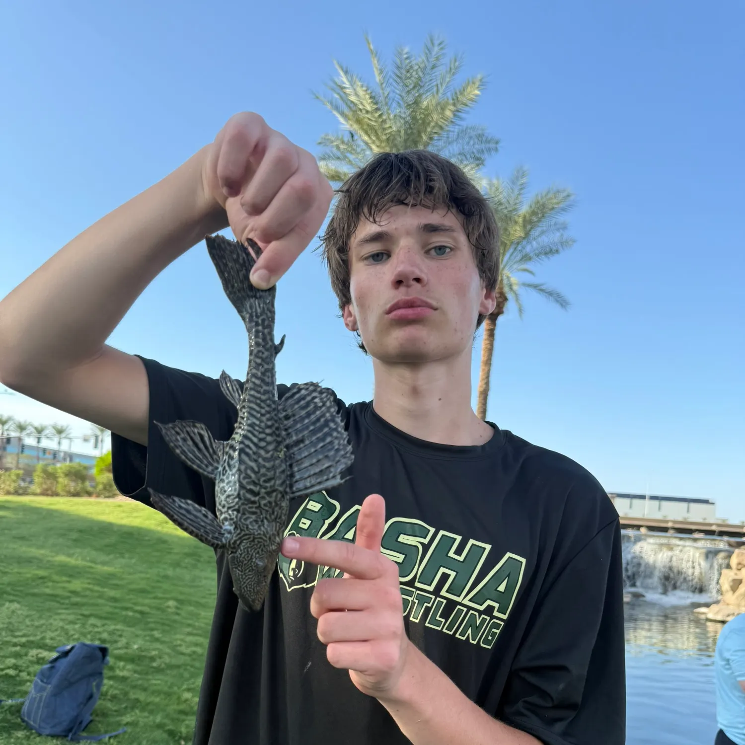 Suckermouth catfish caught on Fishbrain