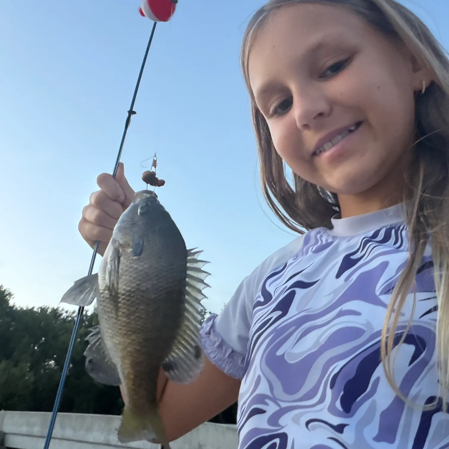 Bluegill caught on Fishbrain