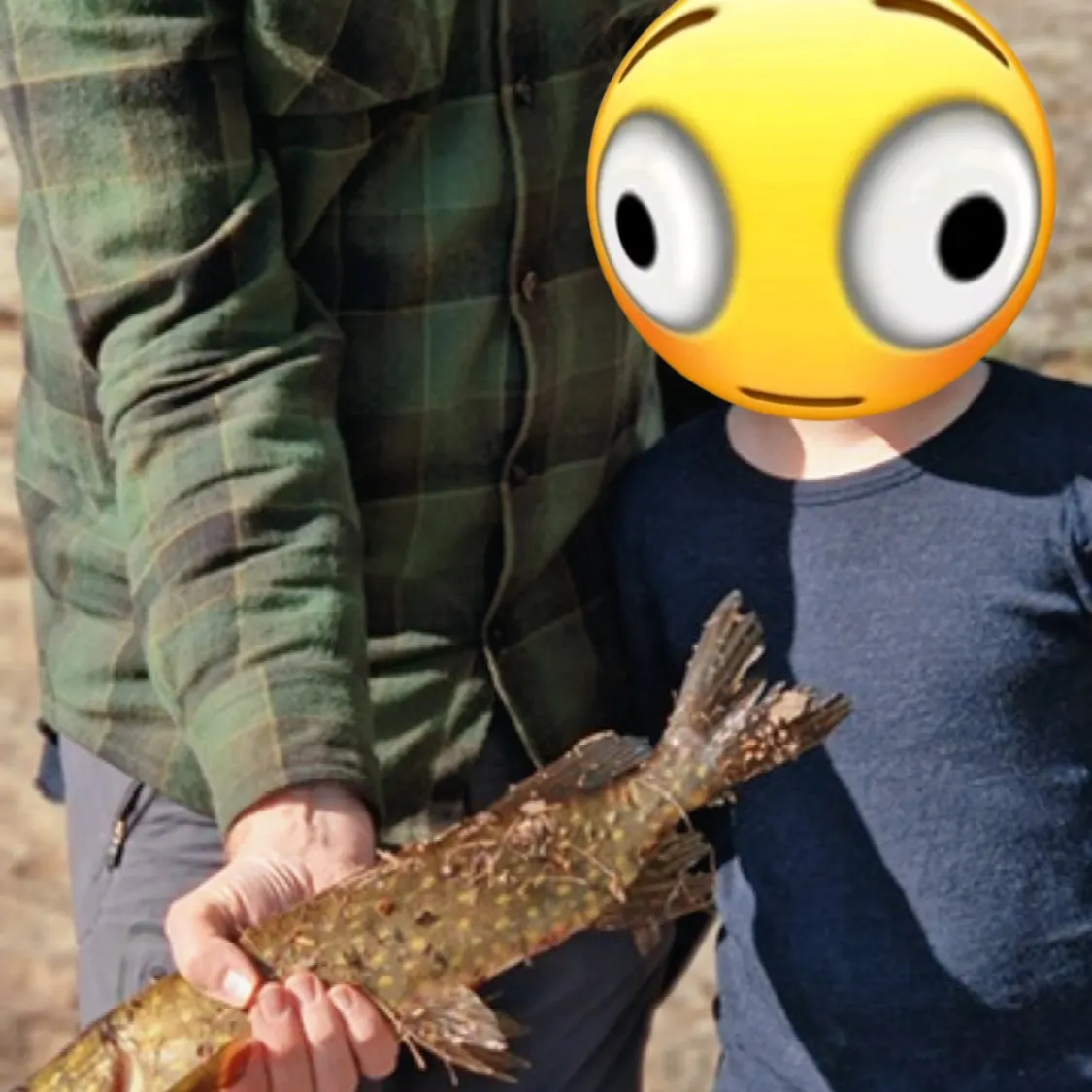 Fish caught on Fishbrain