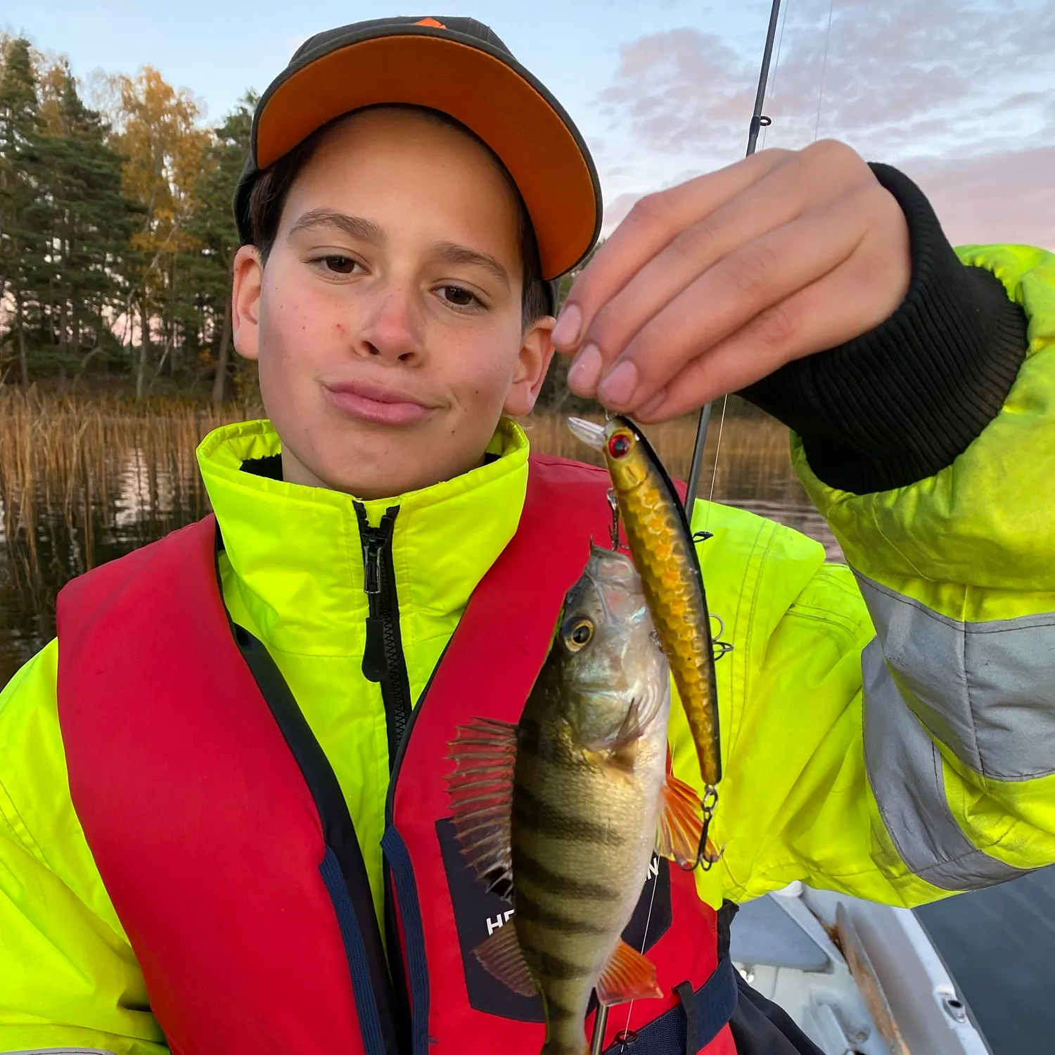 European perch caught on Fishbrain