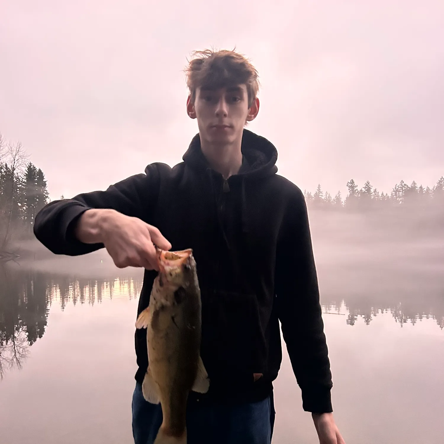 The most recent Largemouth bass catches on Fishbrain