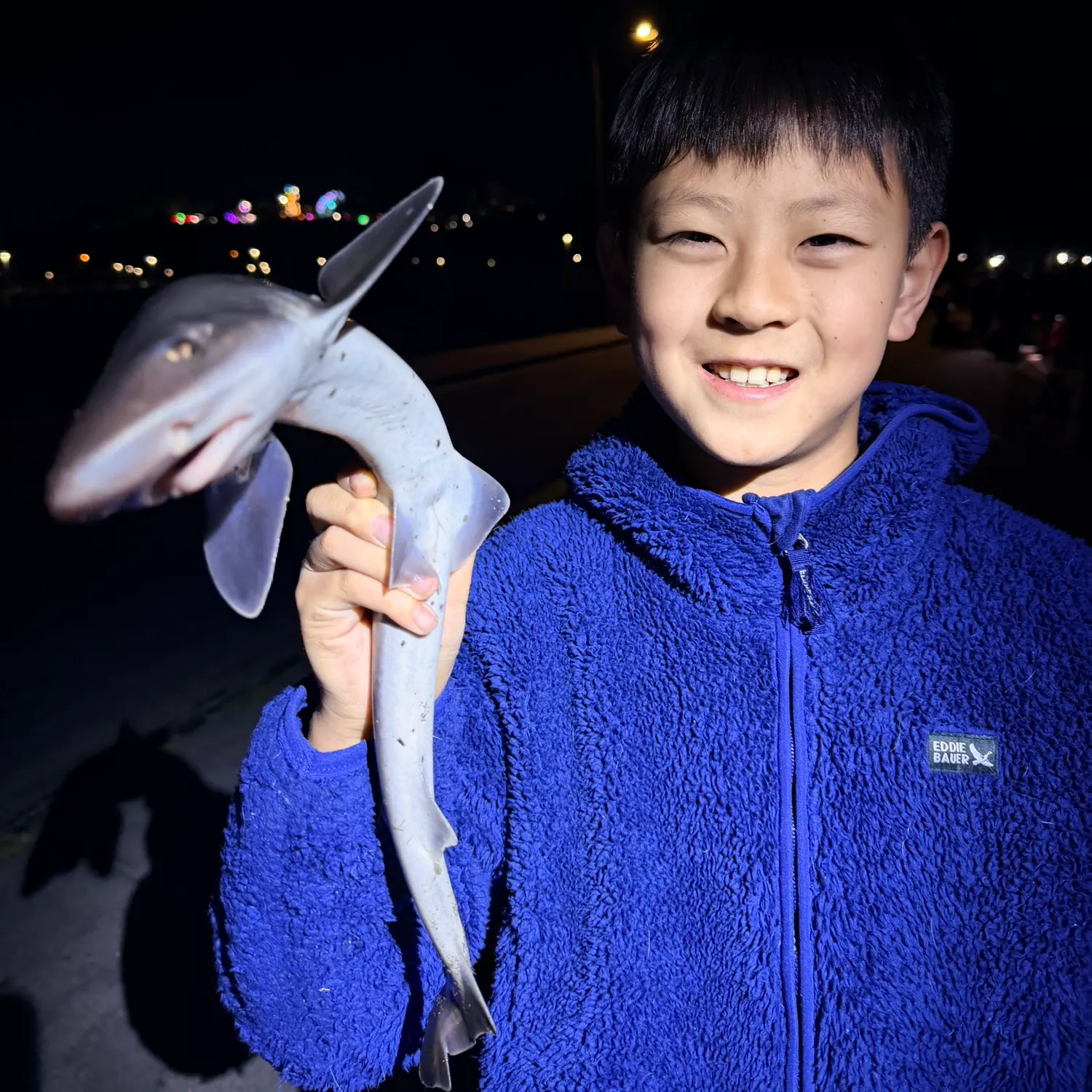 The most recent Leopard shark catches on Fishbrain