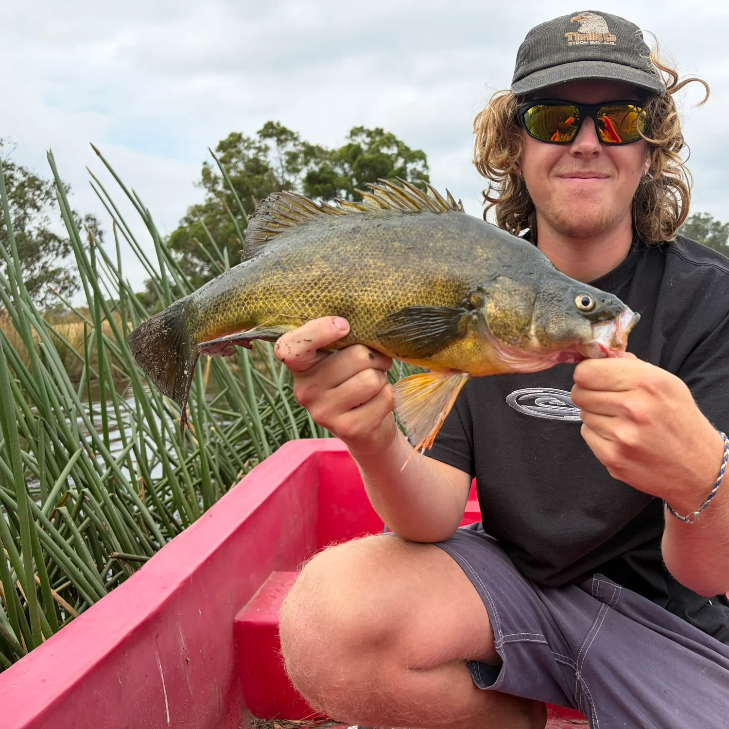 The most recent Golden perch catches on Fishbrain