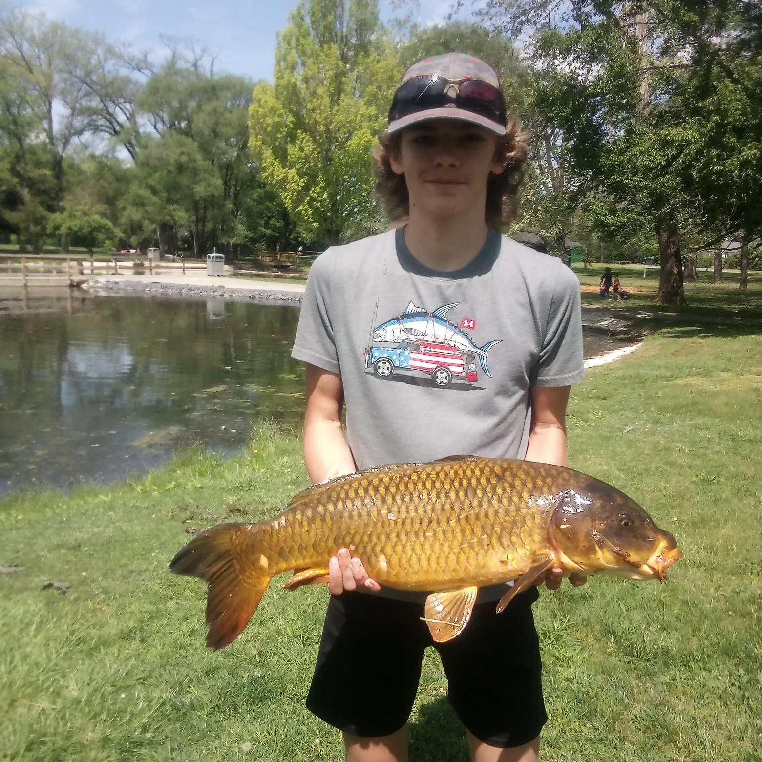 The most recent Common carp catches on Fishbrain