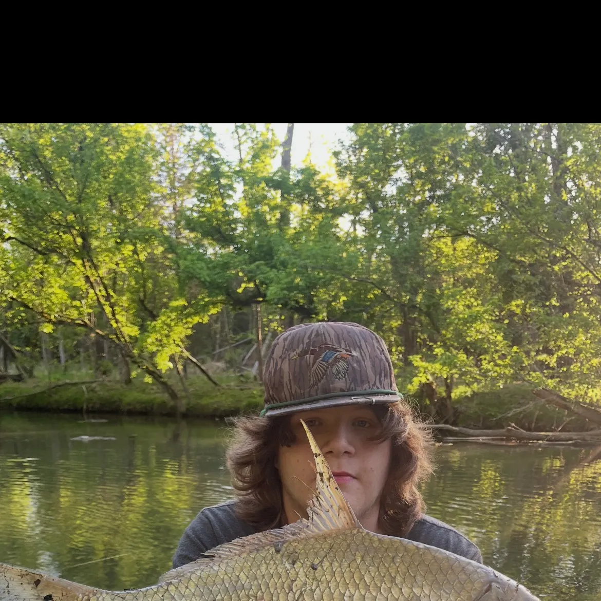 The most recent Quillback catches on Fishbrain