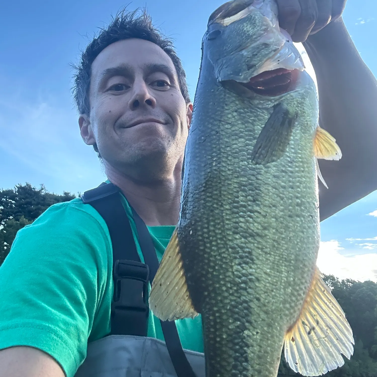 Largemouth bass caught on Fishbrain