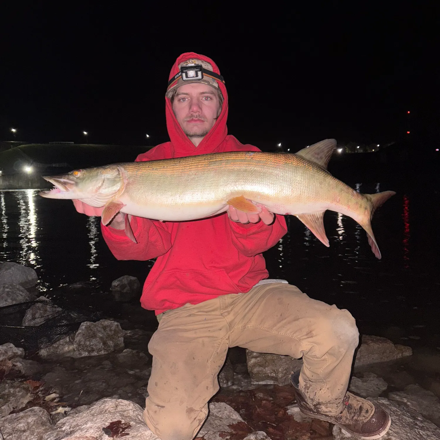 The most recent Muskellunge catches on Fishbrain