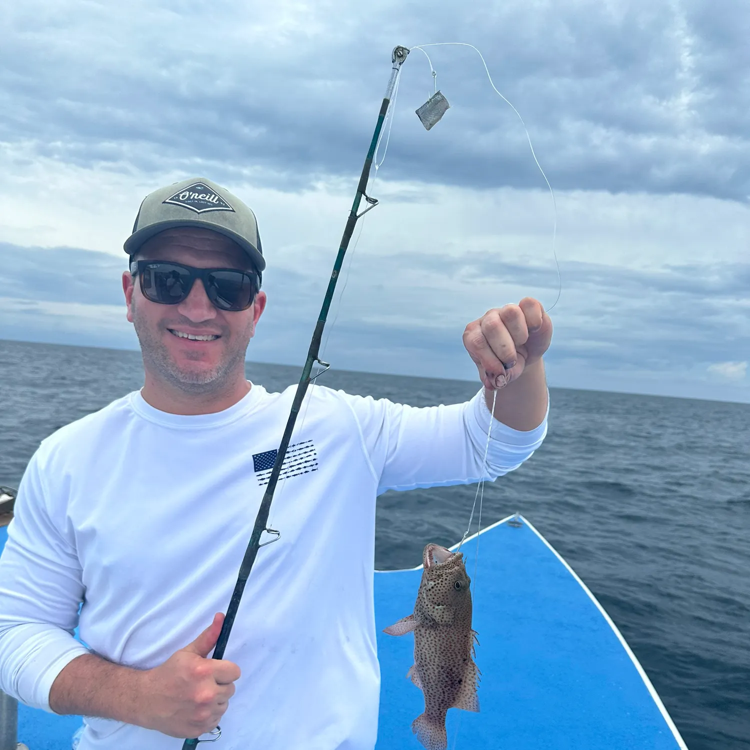 The most recent Speckled hind catches on Fishbrain