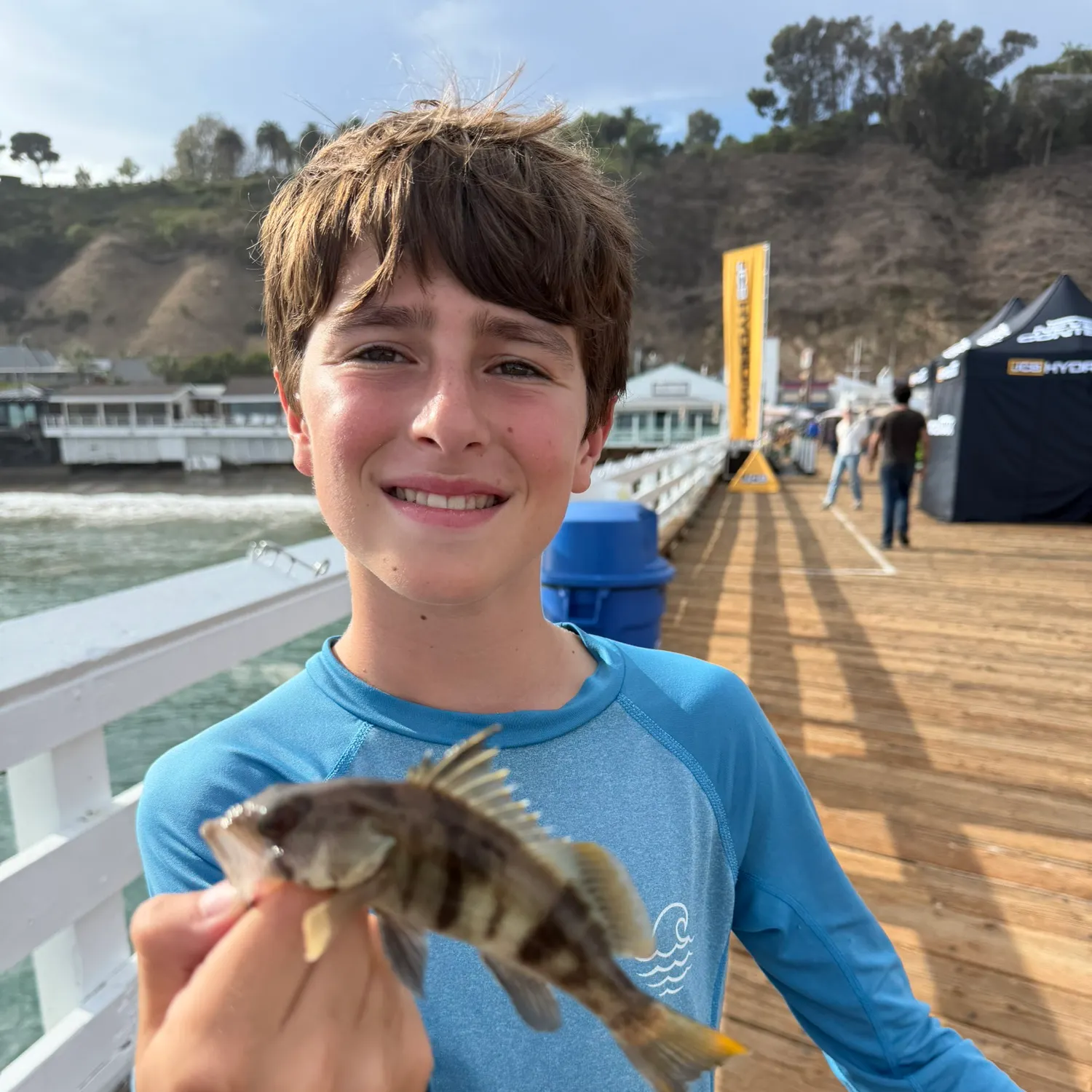 Barred sand bass caught on Fishbrain