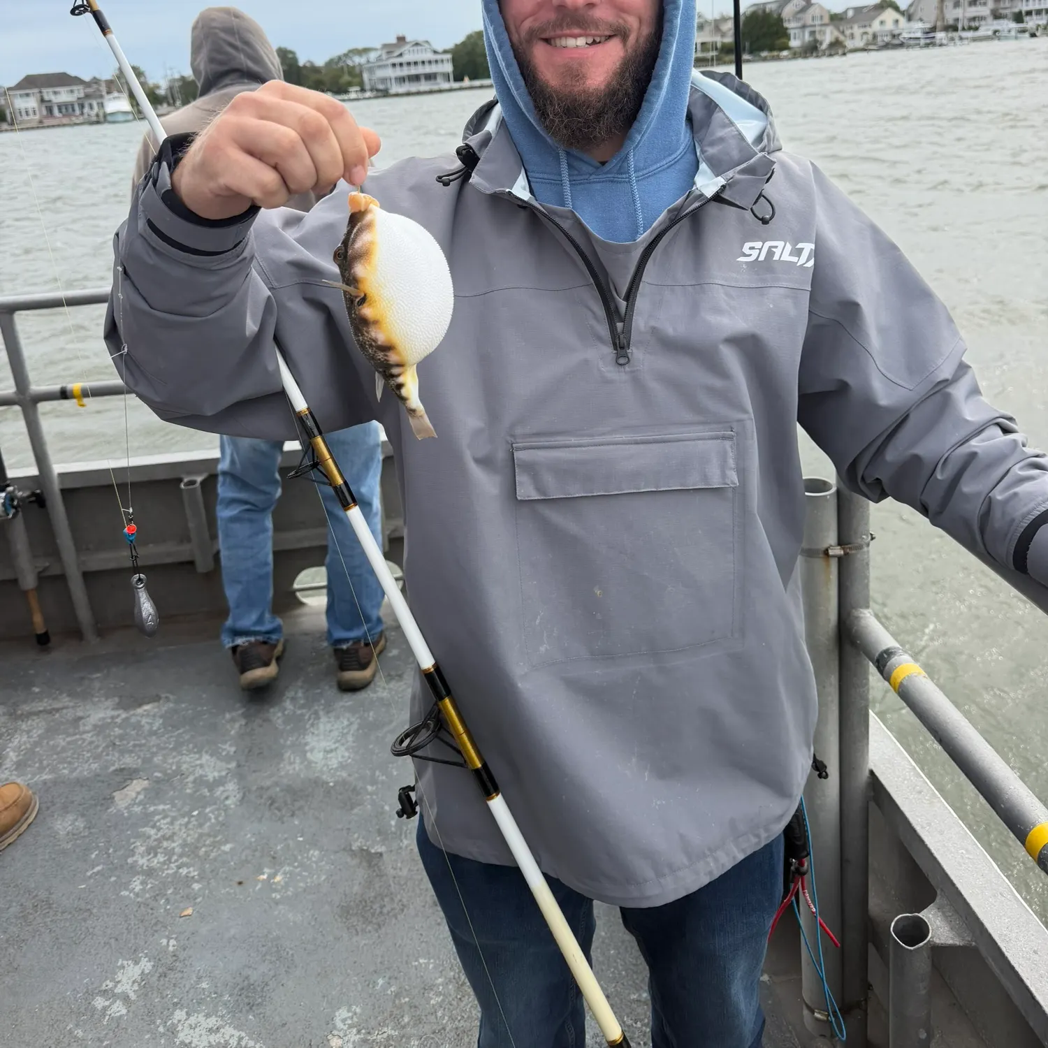 Northern puffer caught on Fishbrain