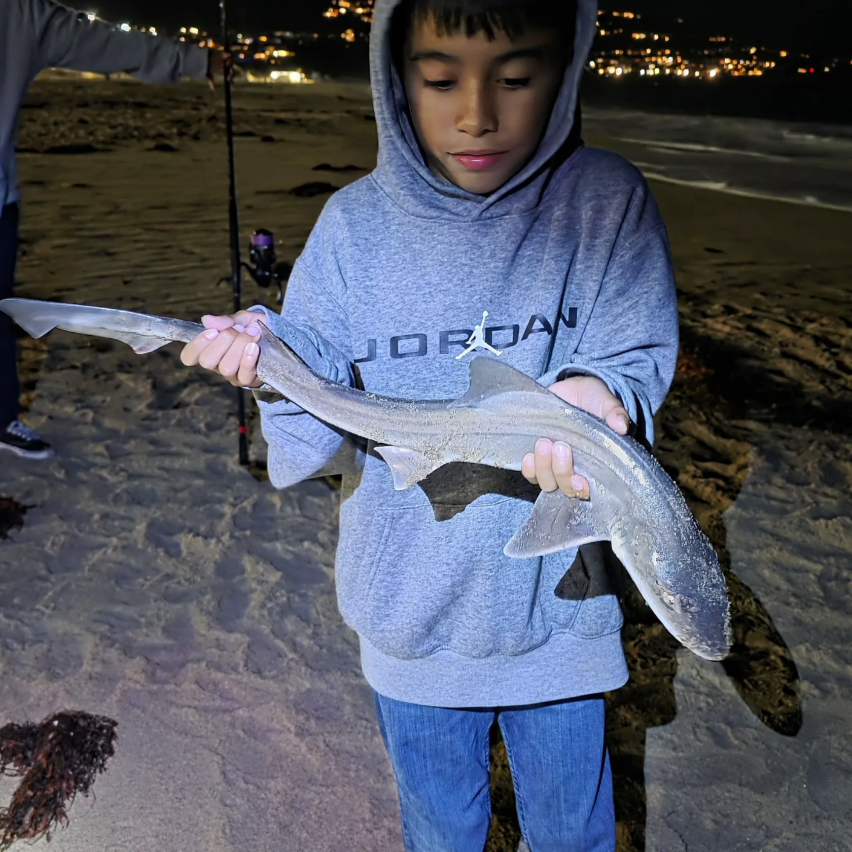 Grey smooth-hound caught on Fishbrain