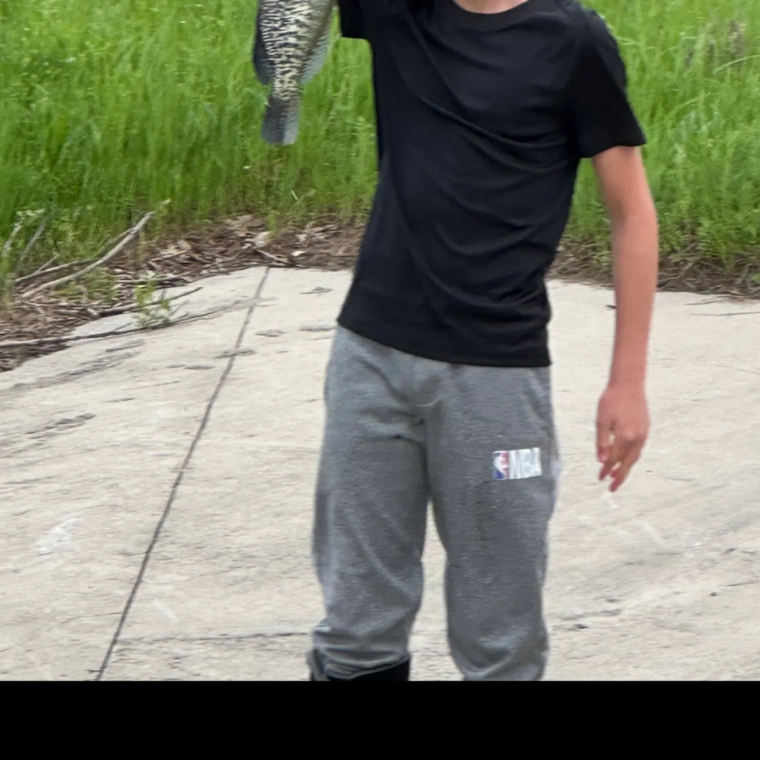The most recent White crappie catches on Fishbrain