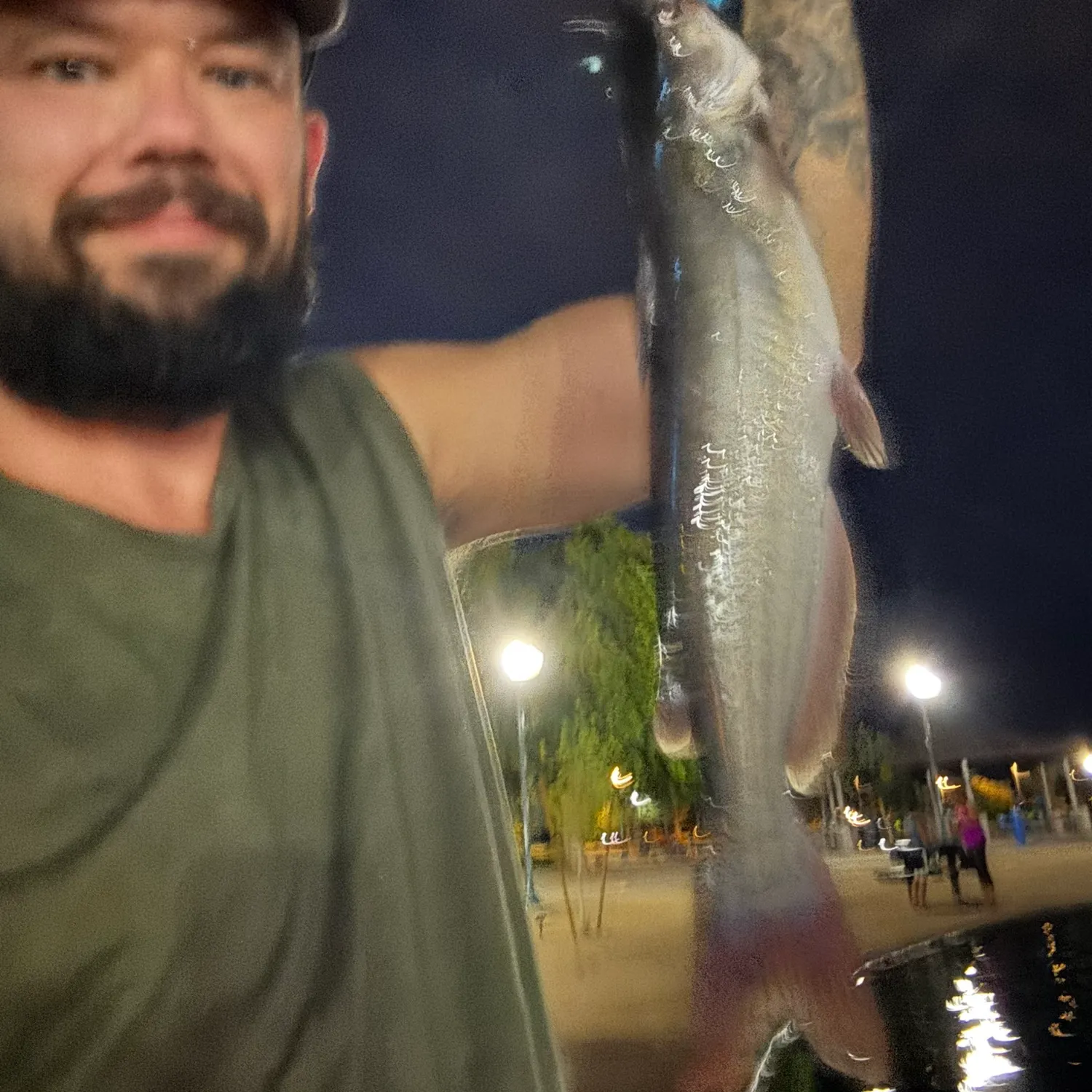 Channel catfish caught on Fishbrain