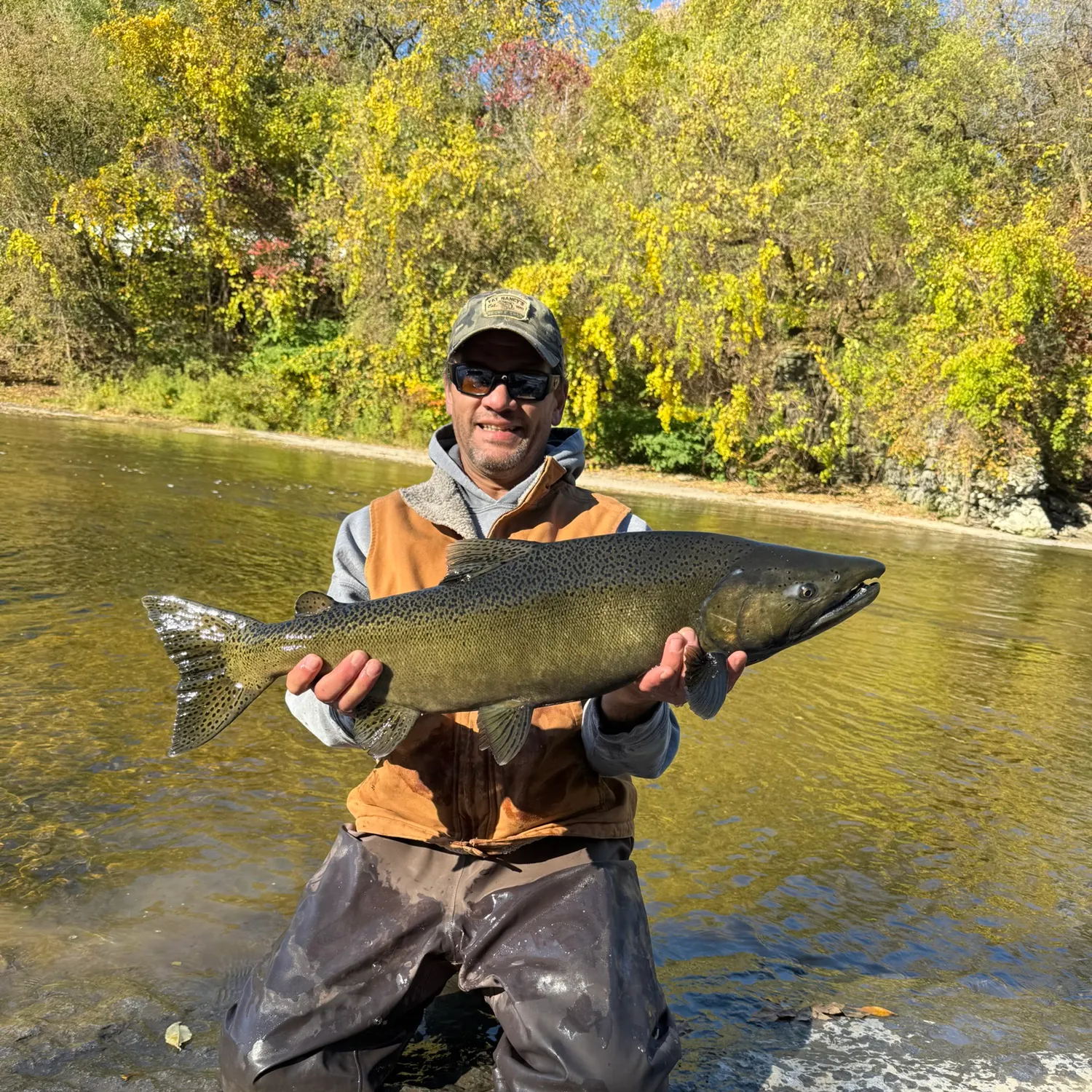 Chinook salmon caught on Fishbrain