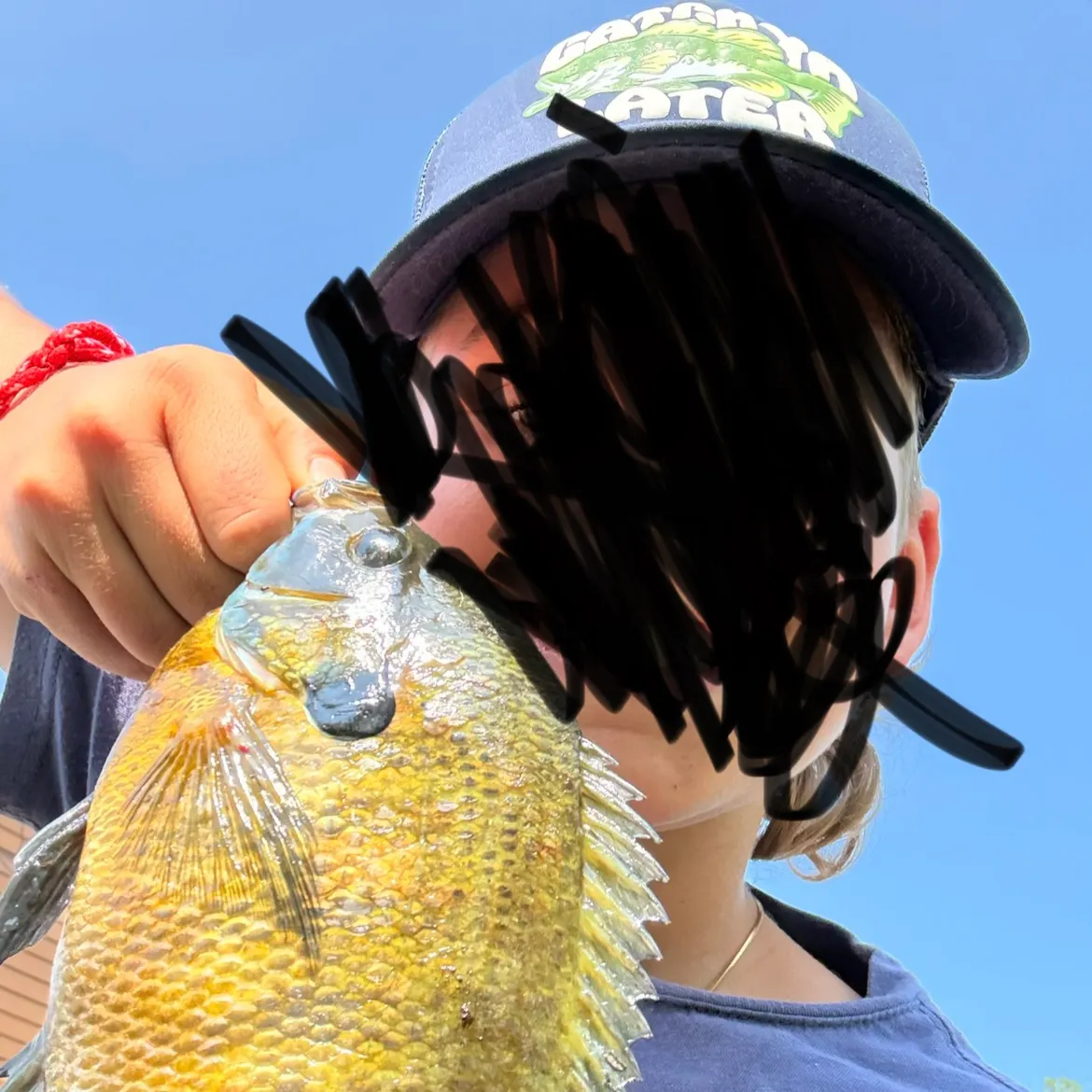 Bluegill caught on Fishbrain