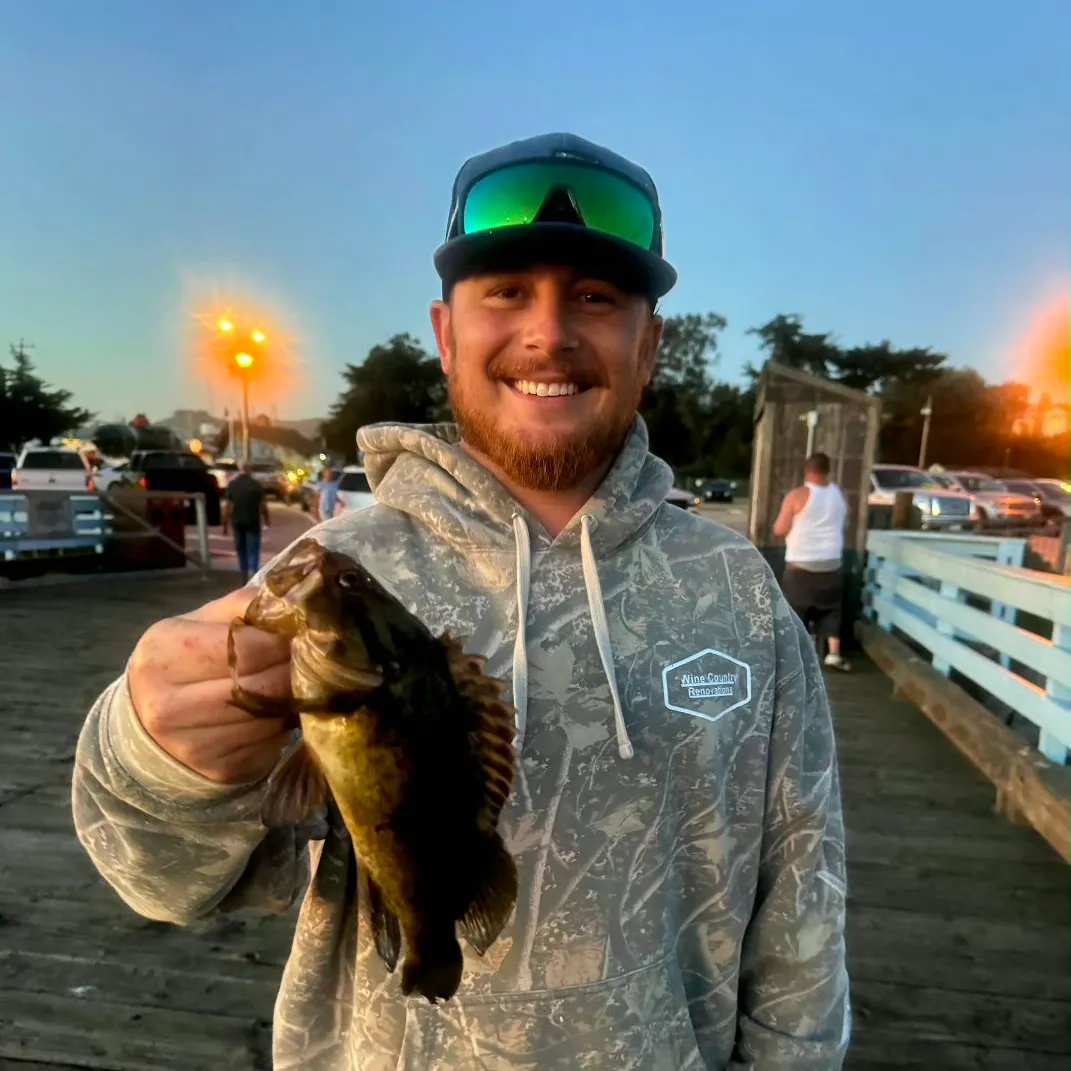 The most recent Grass rockfish catches on Fishbrain