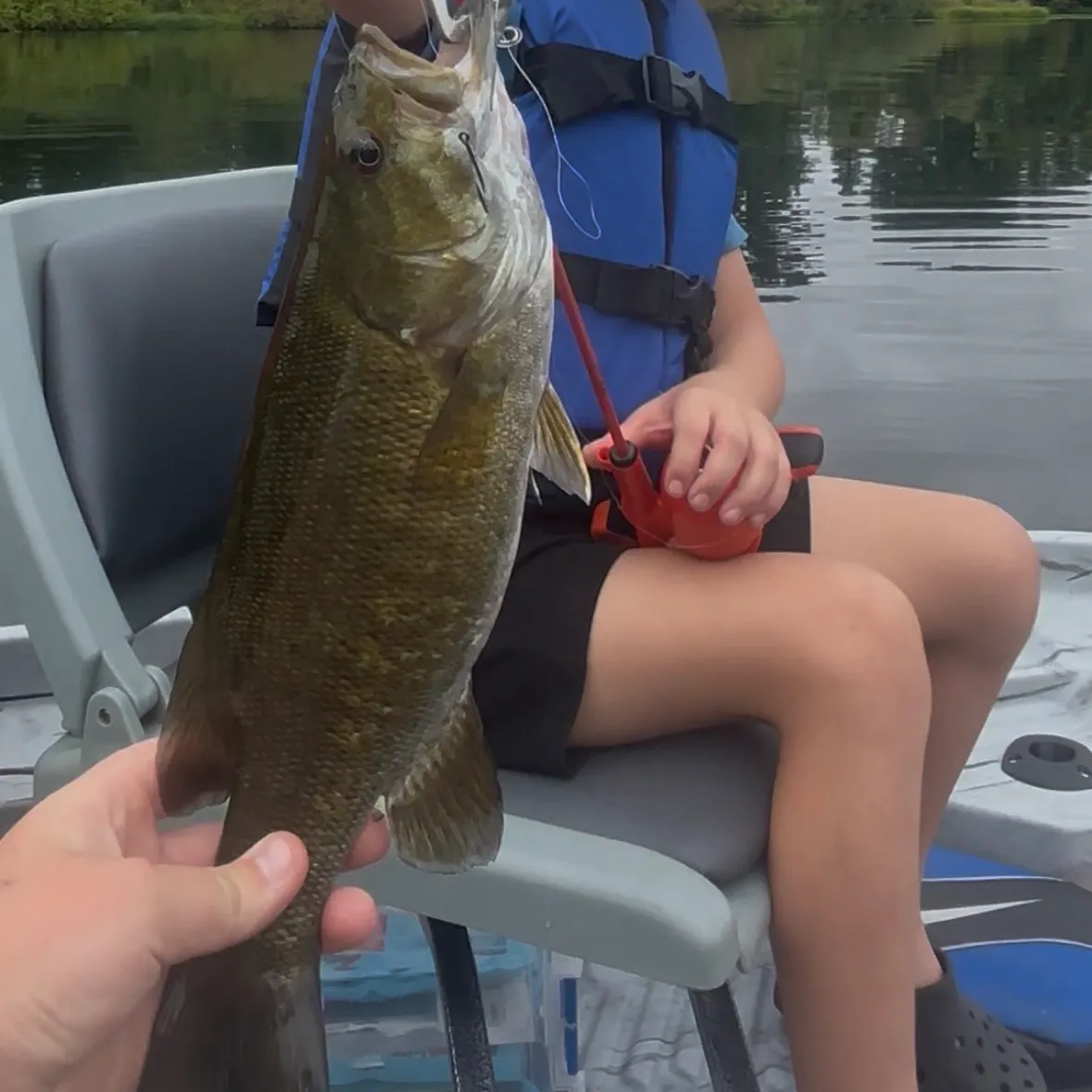 Smallmouth bass caught on Fishbrain